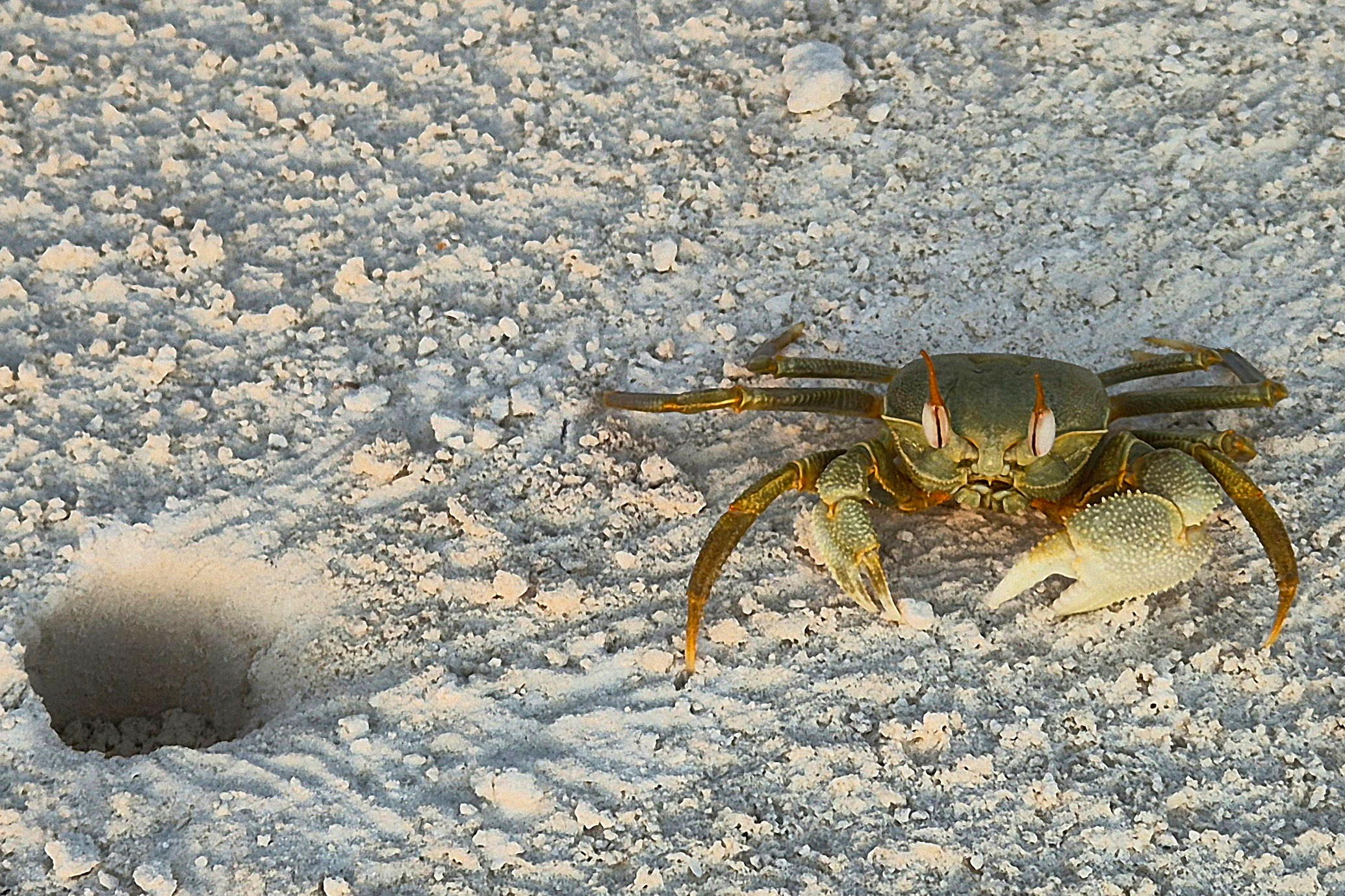 Занзибар. Elina Reisen. Туристическое агентство в Аугсбурге