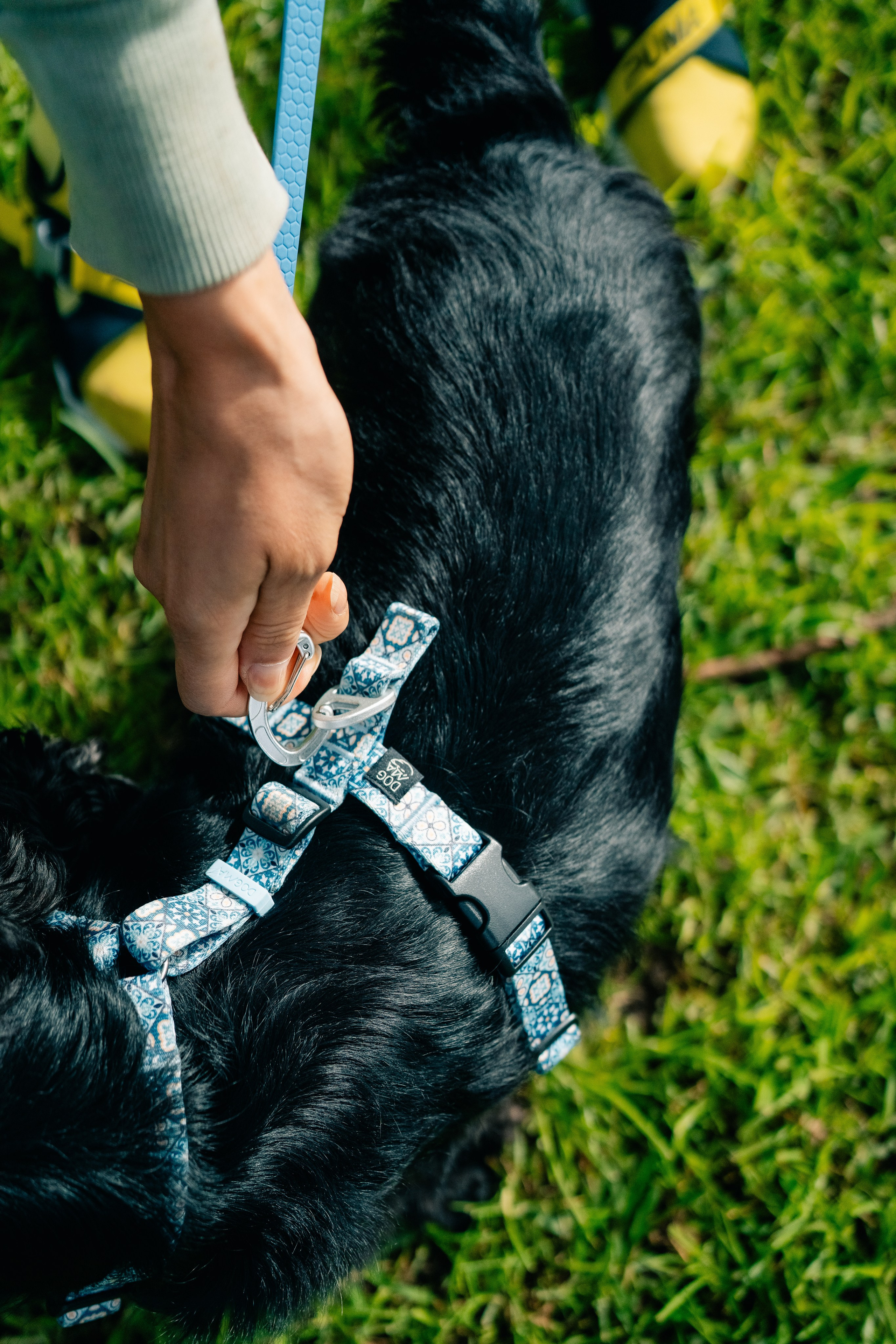 Dogma. Maria Sher. Professional photographer from Porto, Portugal