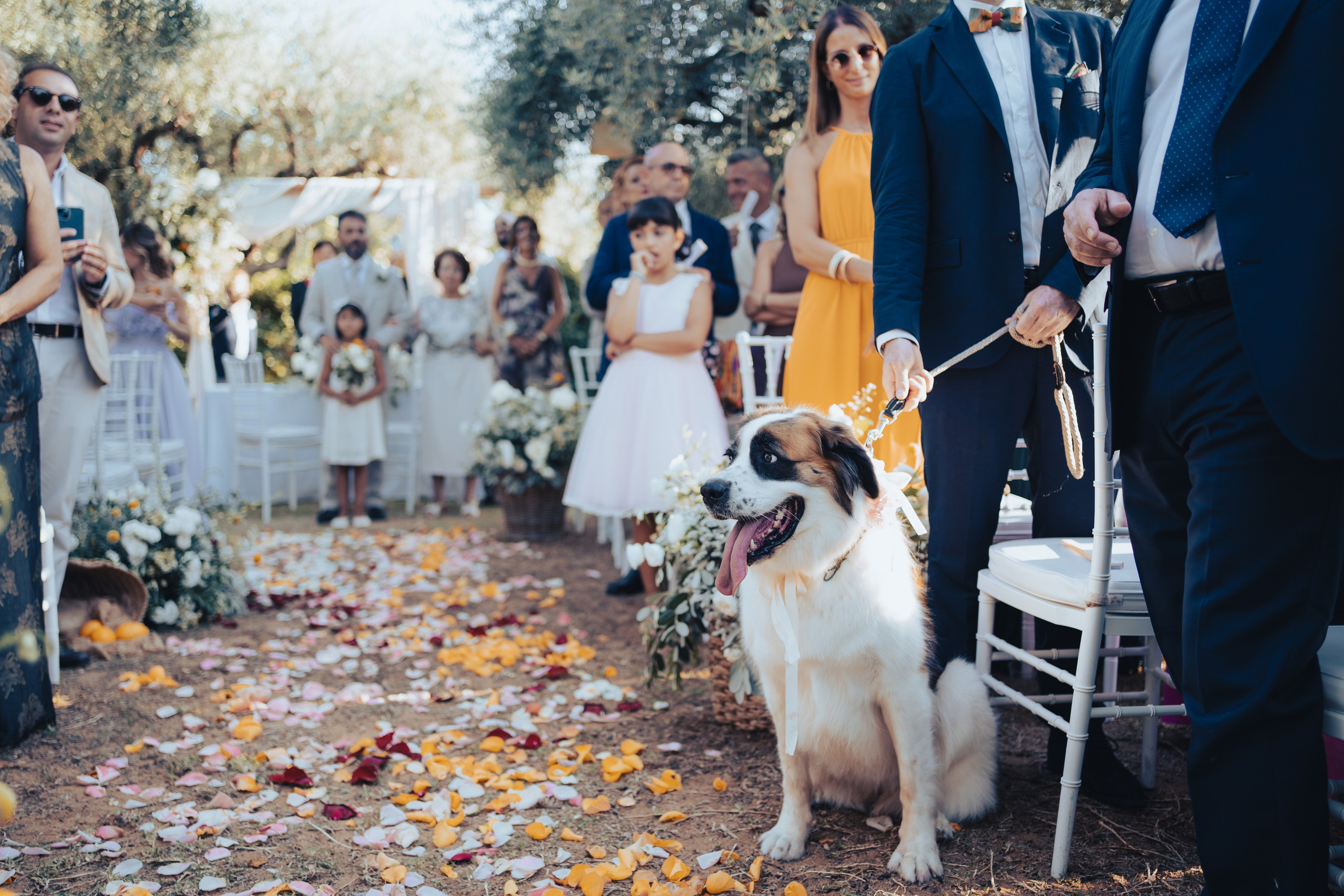 Cristian & Daiana. Свадебный фотограф на Сицилии Гвидо Каналелла