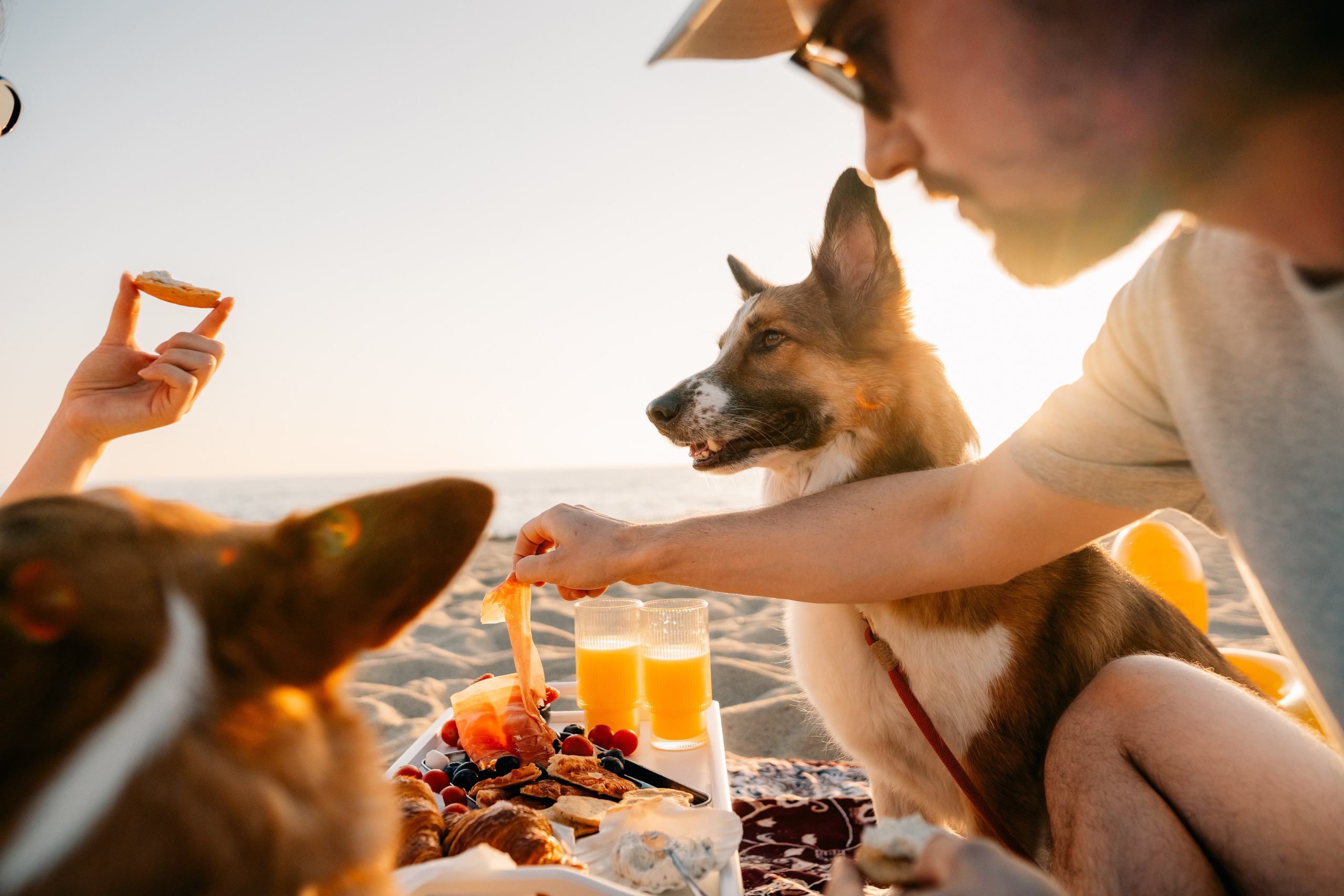 Anya & Dima. Maria Sher. Fotógrafa profissional do Porto, Portugal