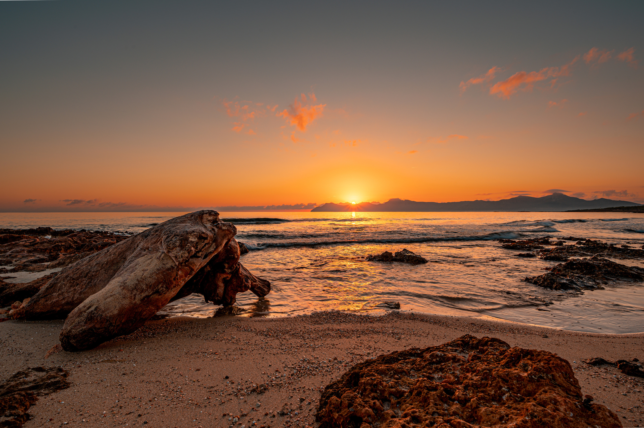 Fotograf in Berlin Brandenburg (Familien, Kinder, Paare, Hochzeiten)