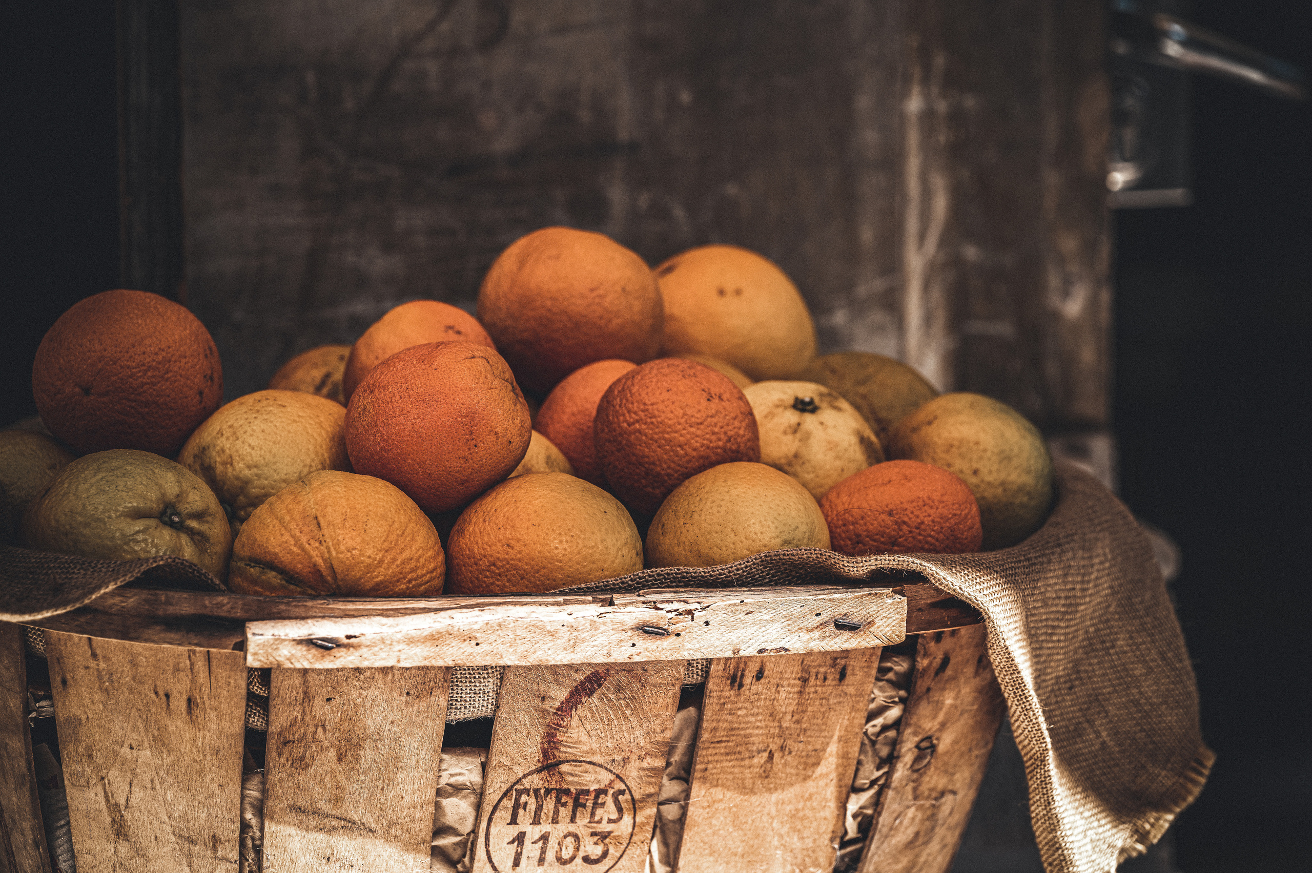Fotograf in Berlin Brandenburg (Familien, Kinder, Paare, Hochzeiten)
