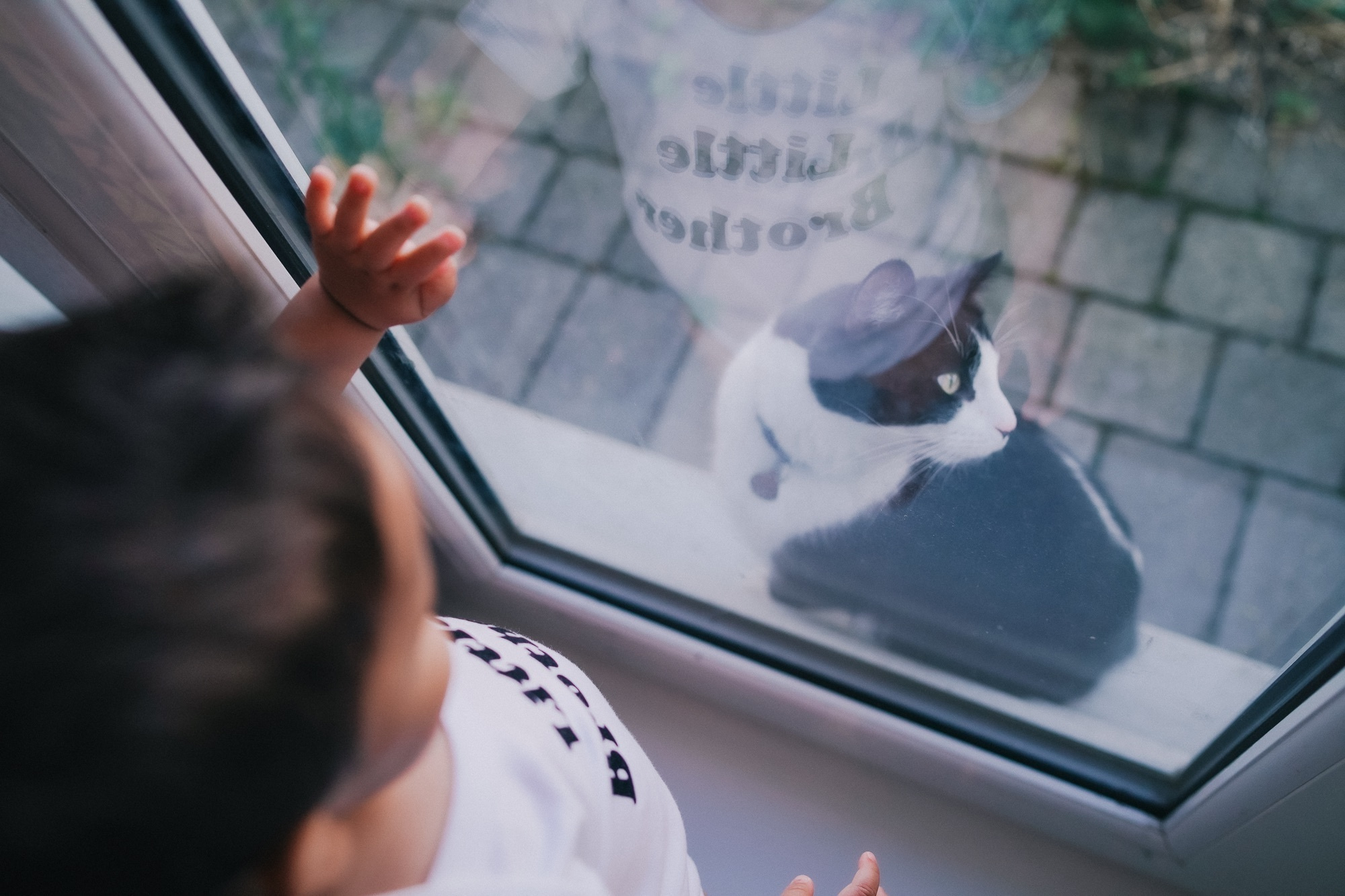 FIRST BIRTHDAY. Professional garden design and photography services in London