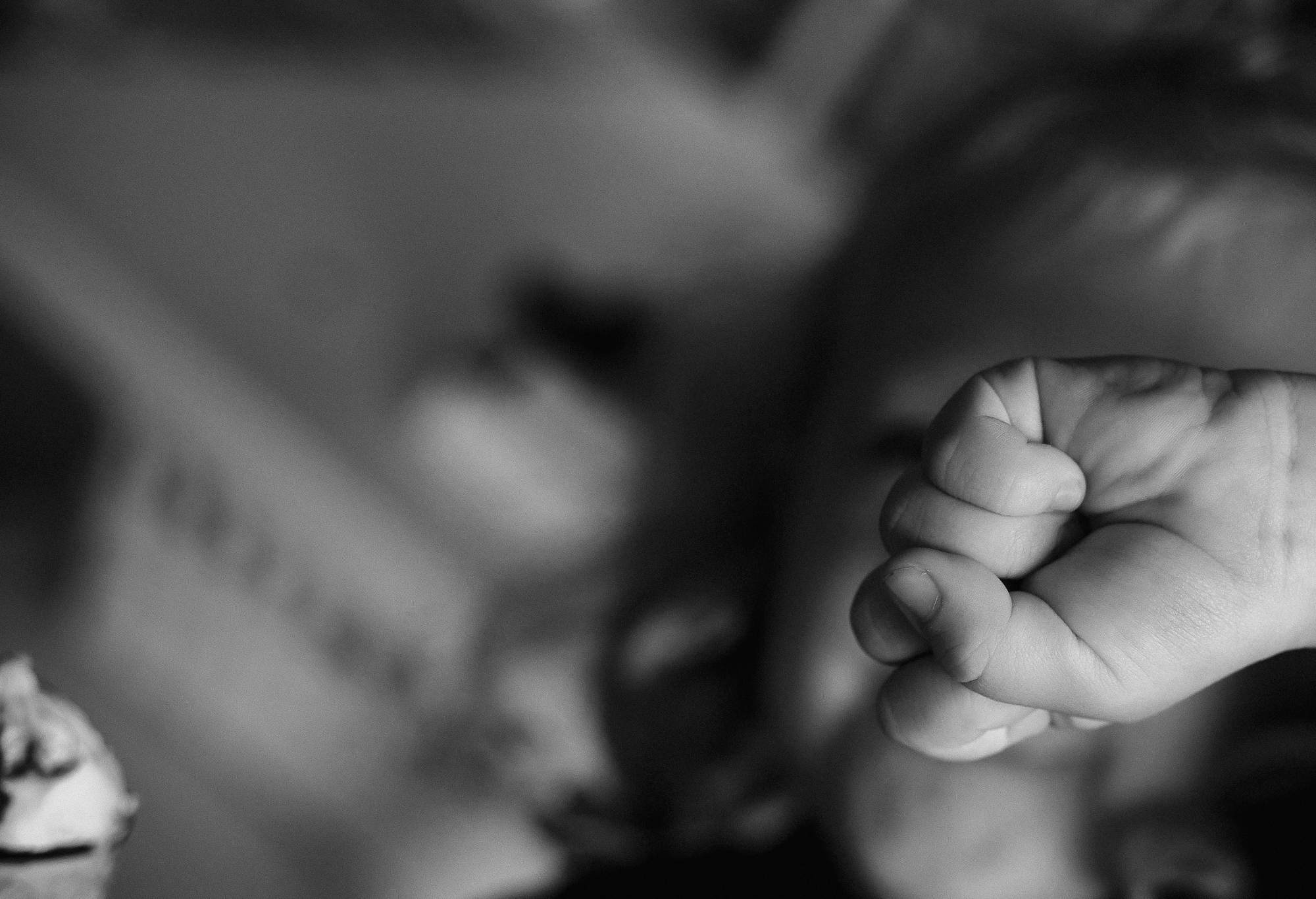 COSY DAY. Professional garden design and photography services in London