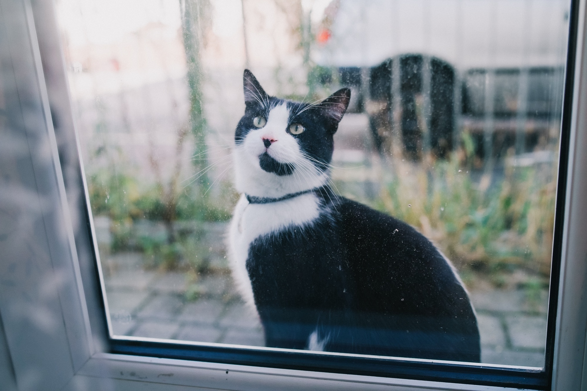 FIRST BIRTHDAY. Professional garden design and photography services in London