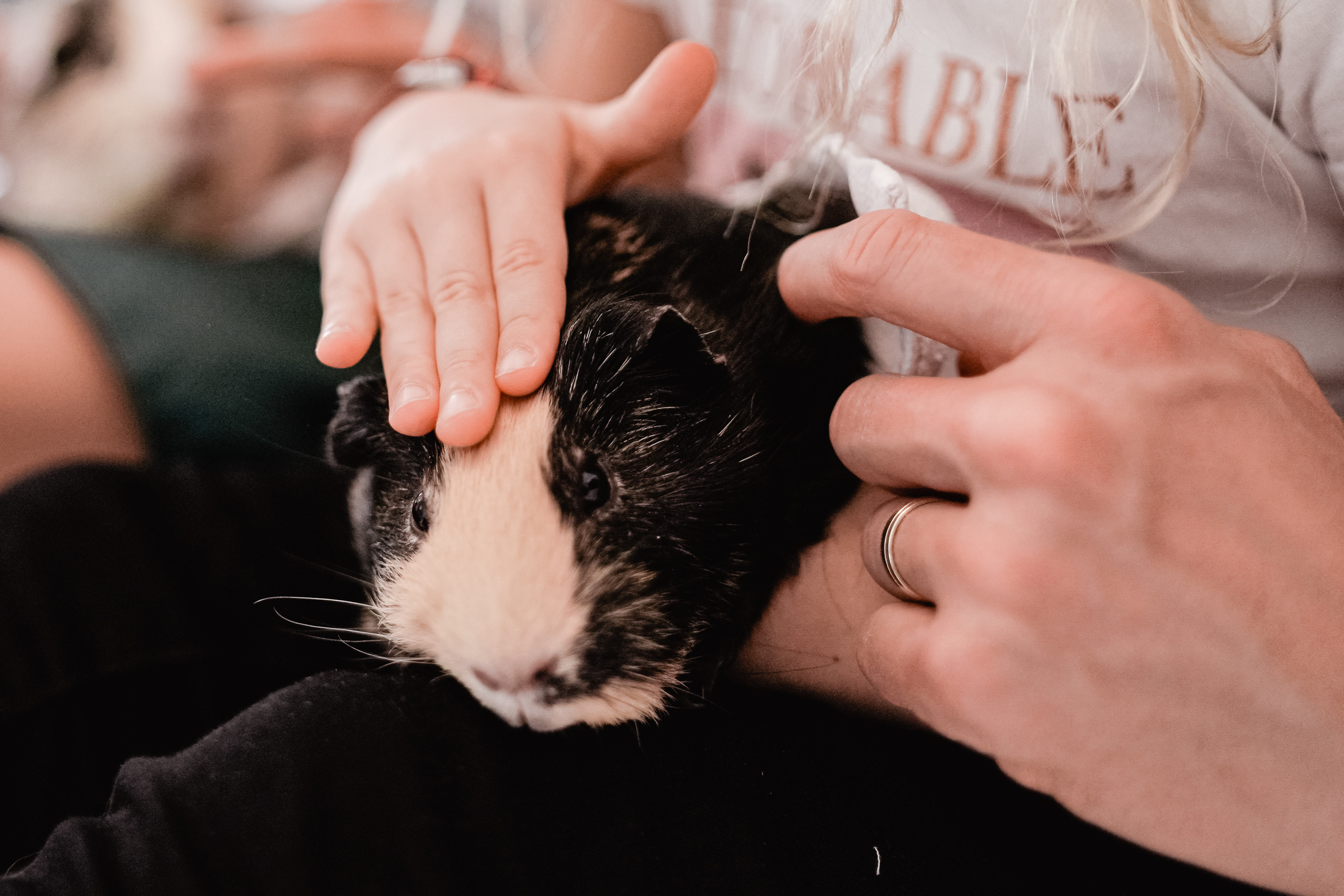 SEPTEMBER SUNDAY. Professional garden design and photography services in London