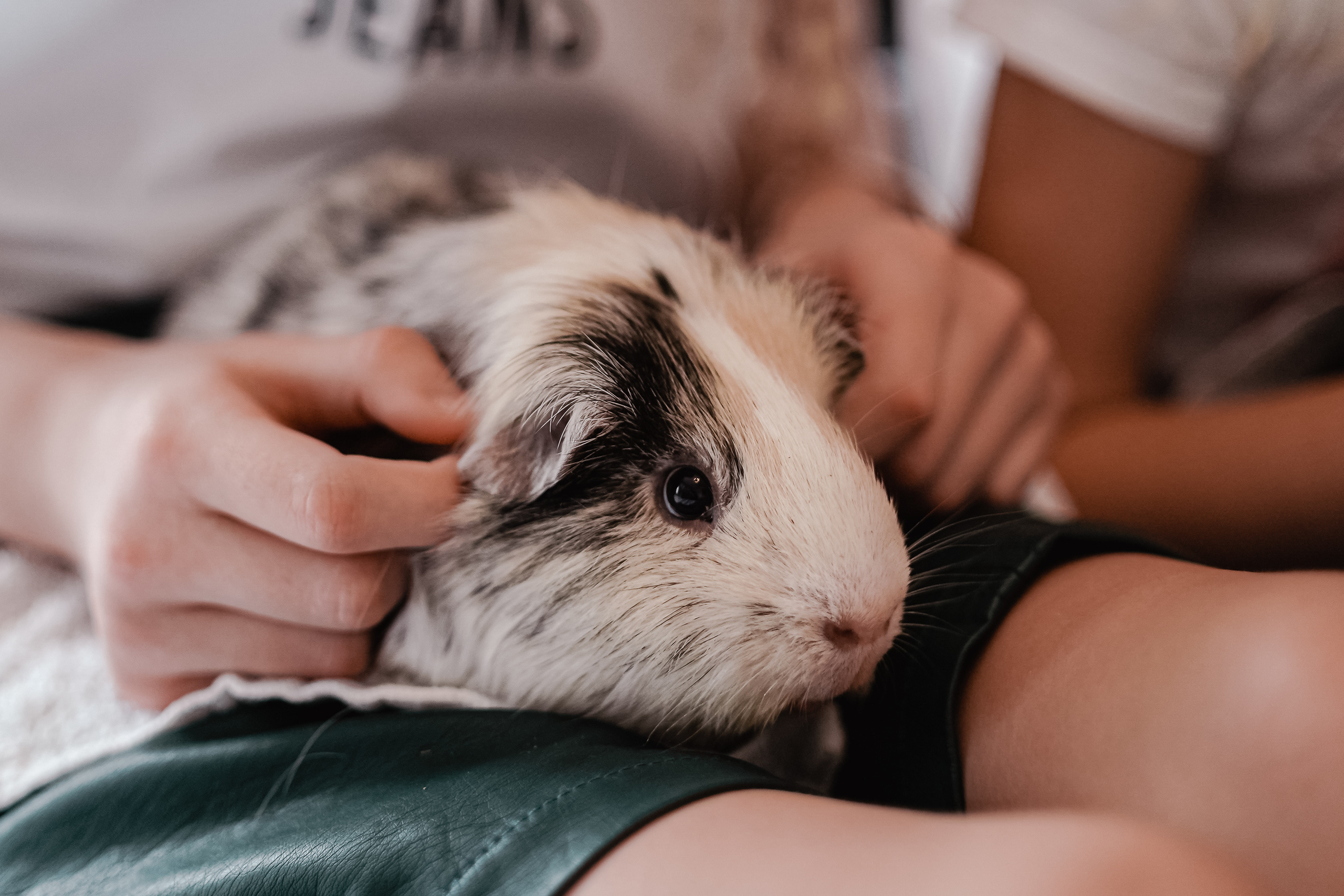 SEPTEMBER SUNDAY. Professional garden design and photography services in London