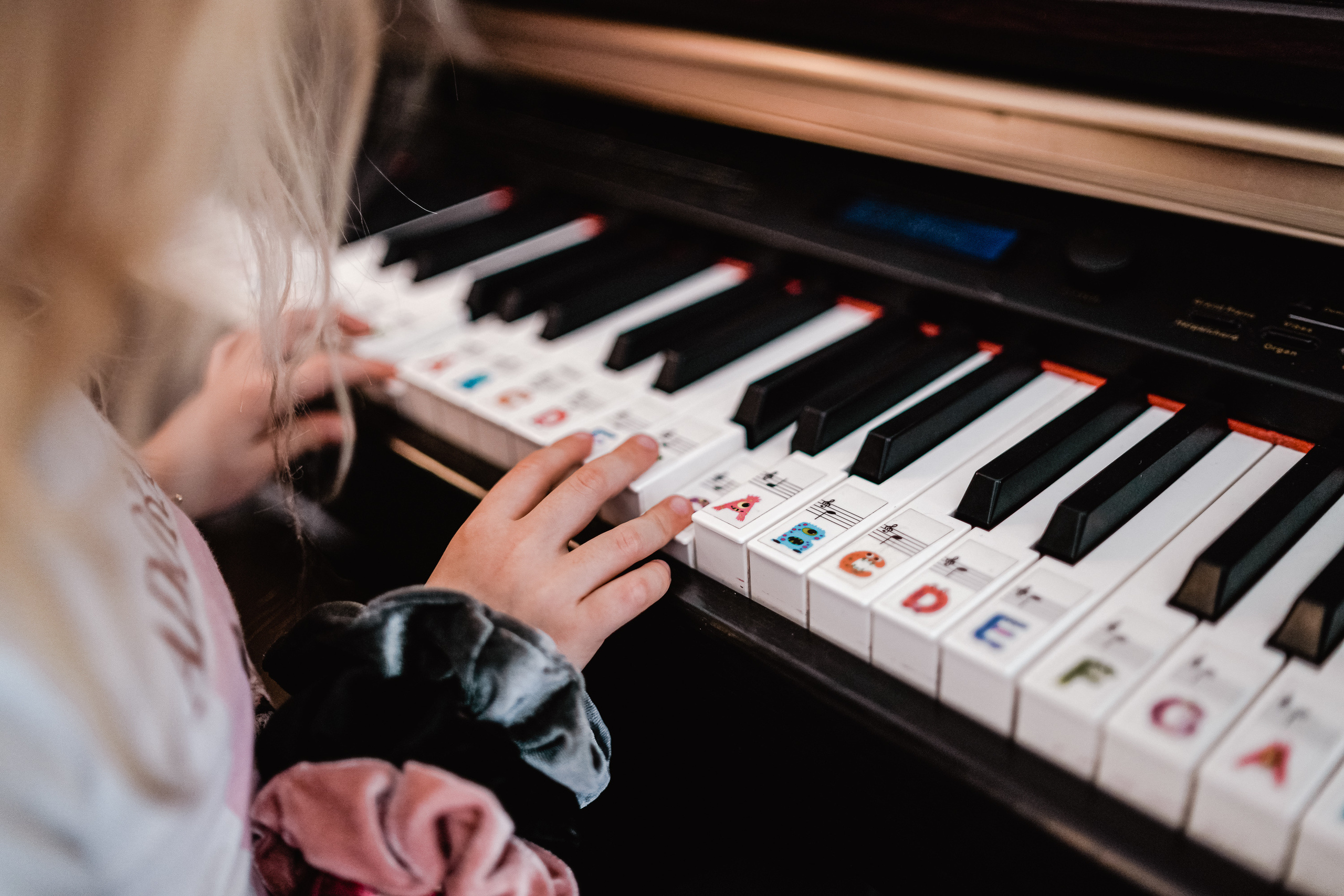 SEPTEMBER SUNDAY. Professional garden design and photography services in London