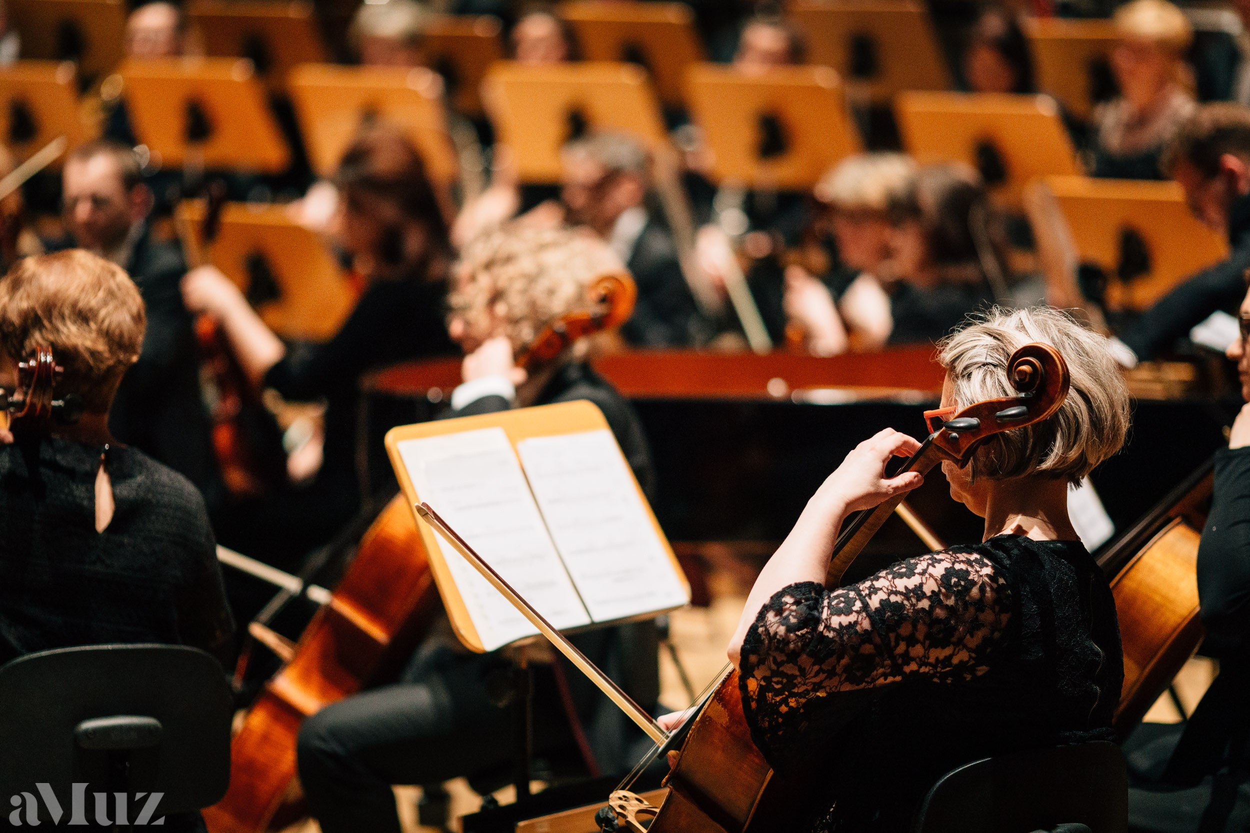 Filharmonia Bałtycka. Fotograf Ślubny Warszawa - Sesje Biznesowe Rodzinne Eventy