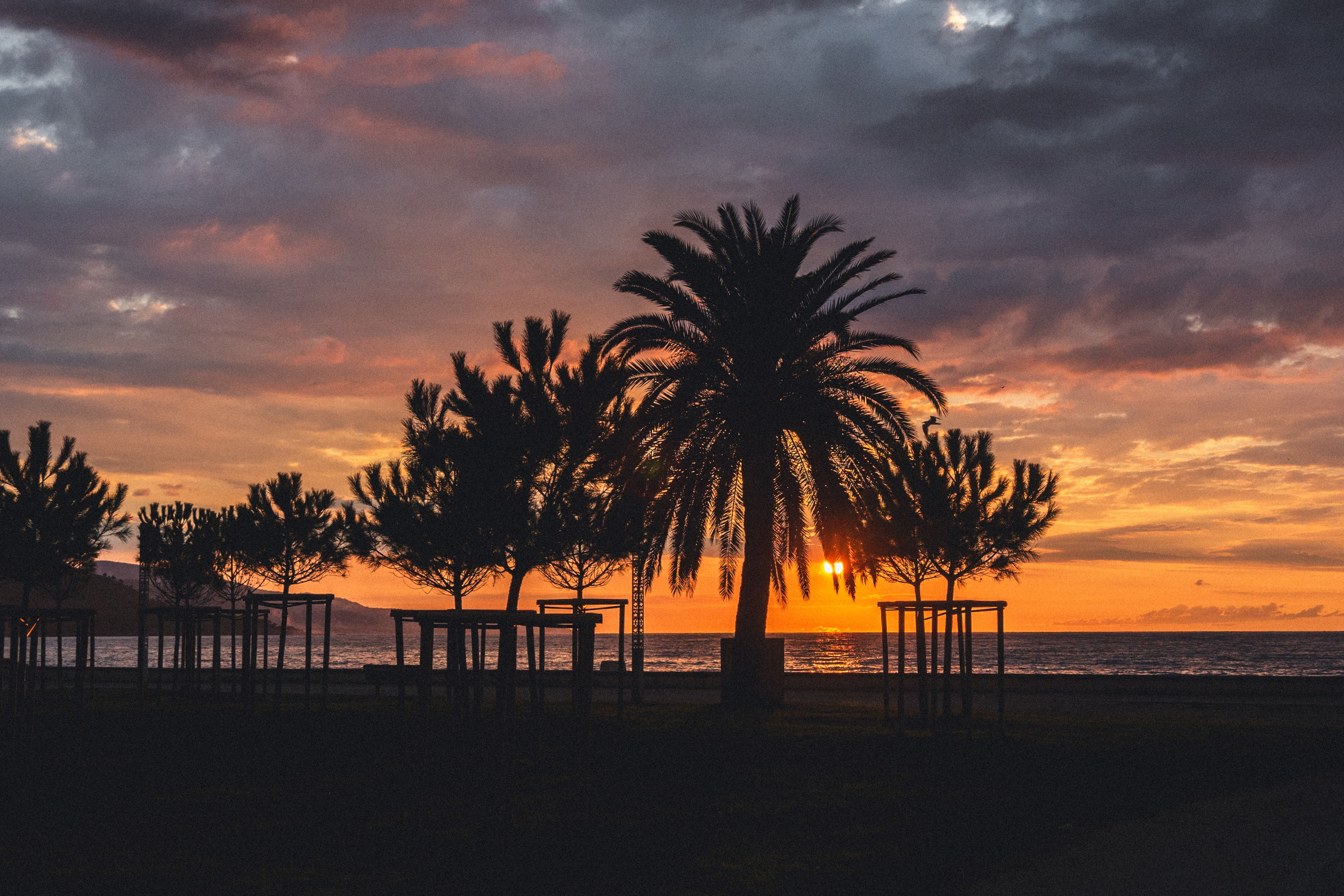 Lever de soleil à Menton. Семейный и детский фотограф на Лазурном Берегу