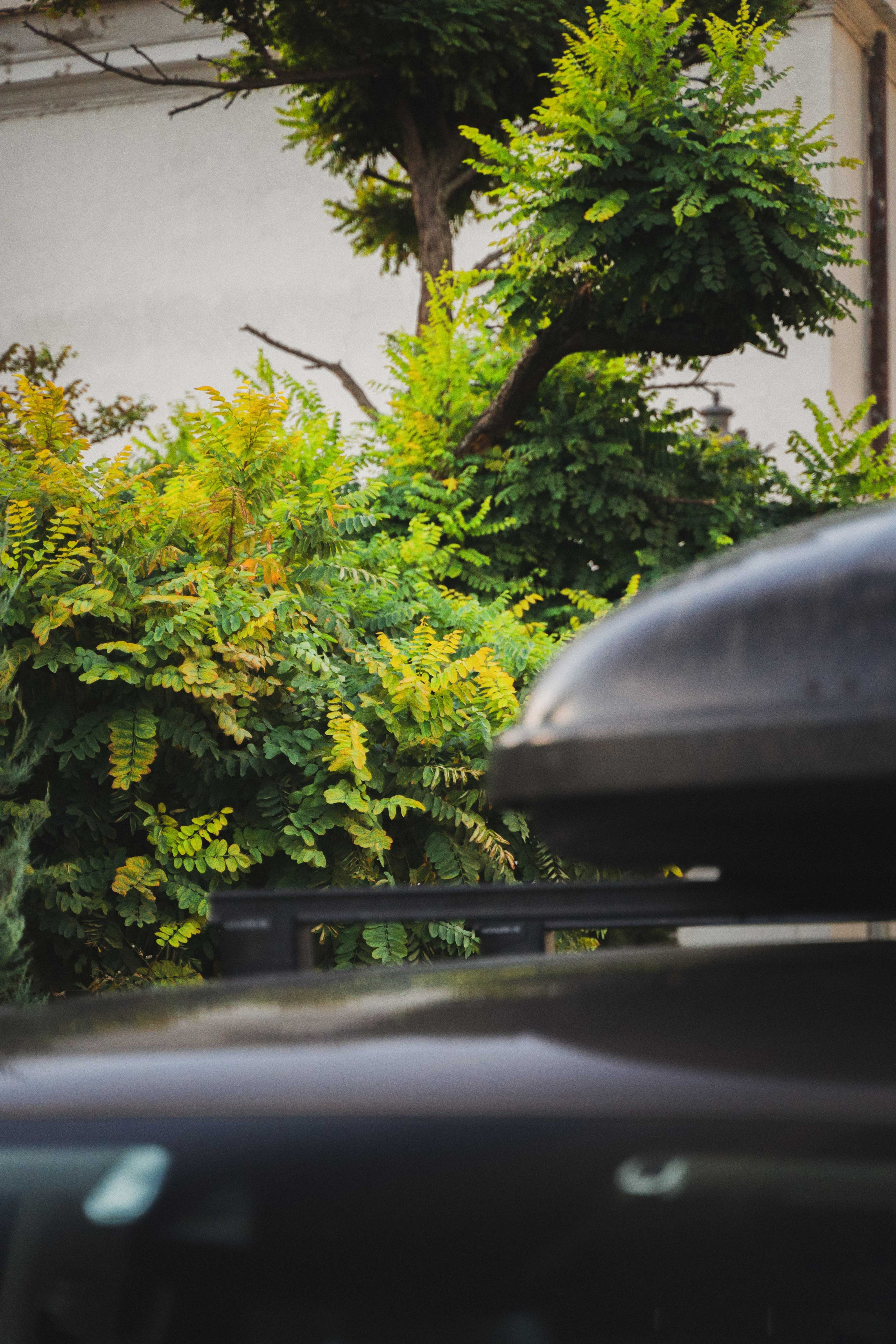 V class. Zhukov studio