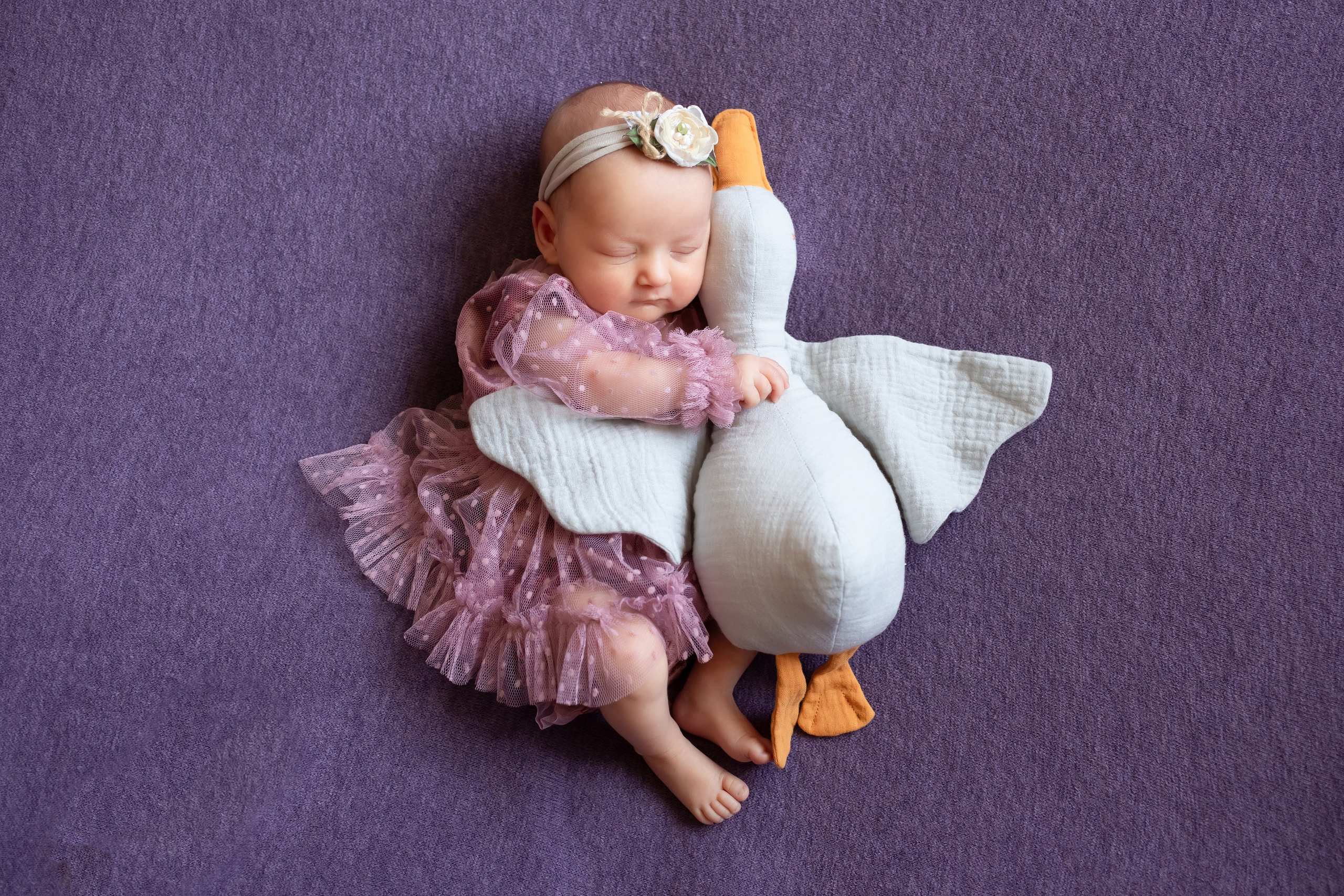 Clásico. Fotógrafa profesional en España