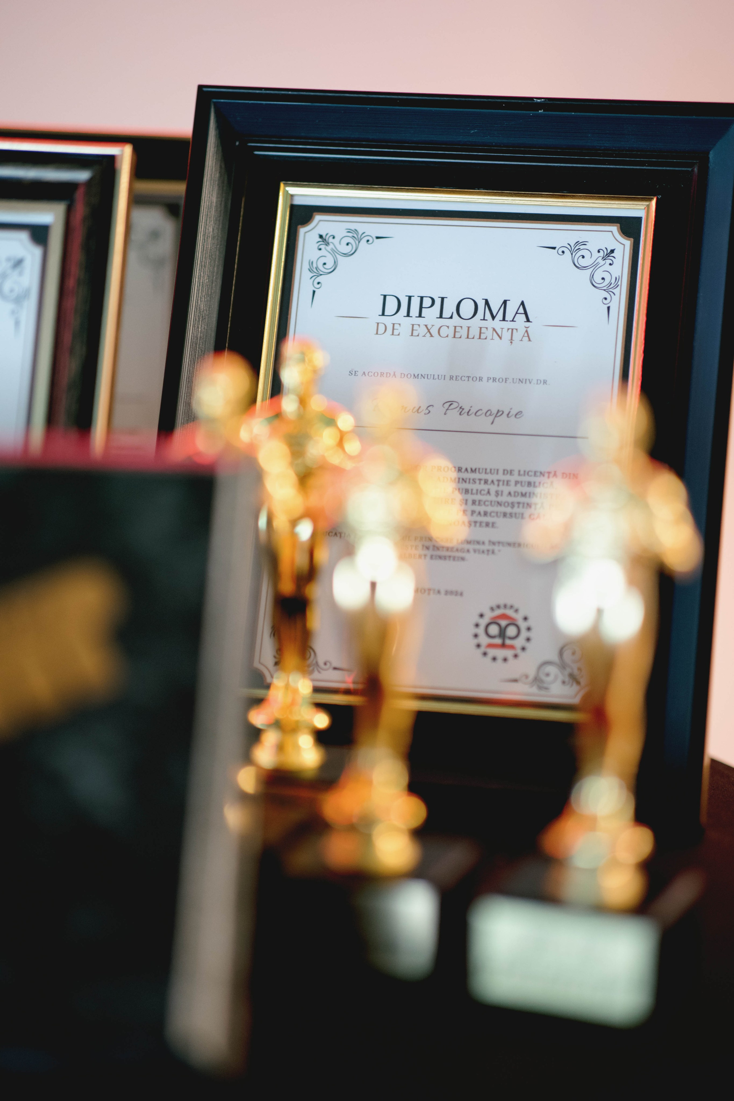 Festivitate Absolvire SNSPA 2024 - Jubile Bucuresti. MDimaFotoStudio. Fotograf de nuntă, evenimente private și de familie