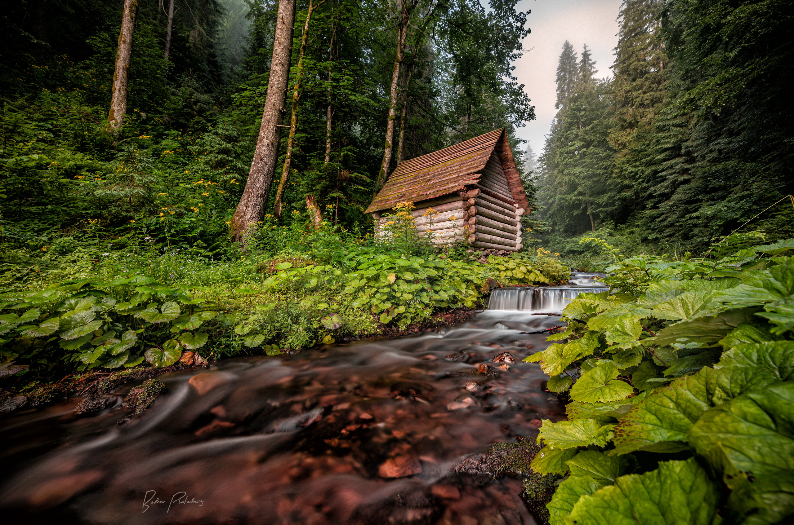 Fotograf in Berlin Brandenburg (Familien, Kinder, Paare, Hochzeiten)
