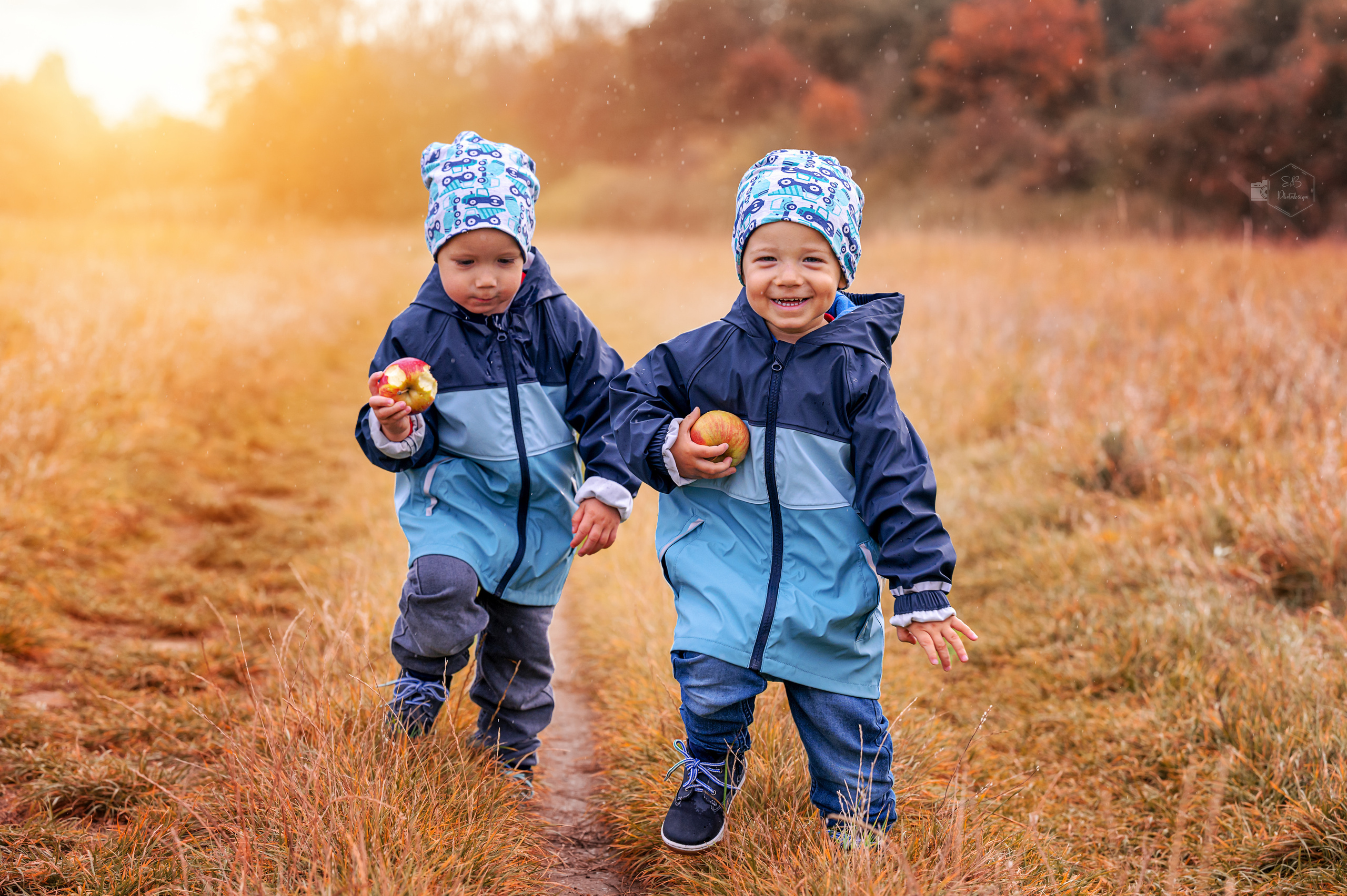 Fotograf in Berlin Brandenburg (Familien, Kinder, Paare, Hochzeiten)