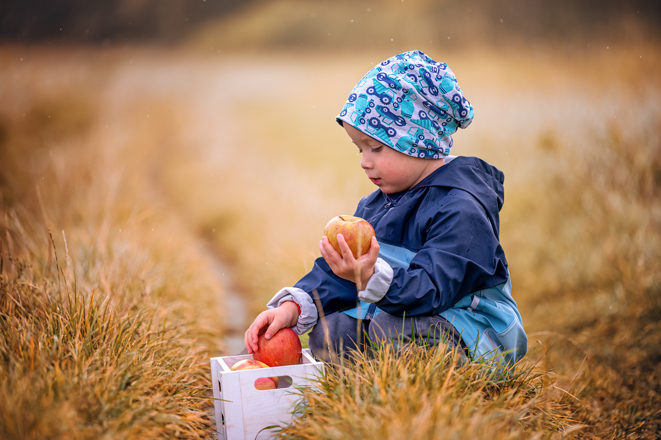 Fotograf in Berlin Brandenburg (Familien, Kinder, Paare, Hochzeiten)