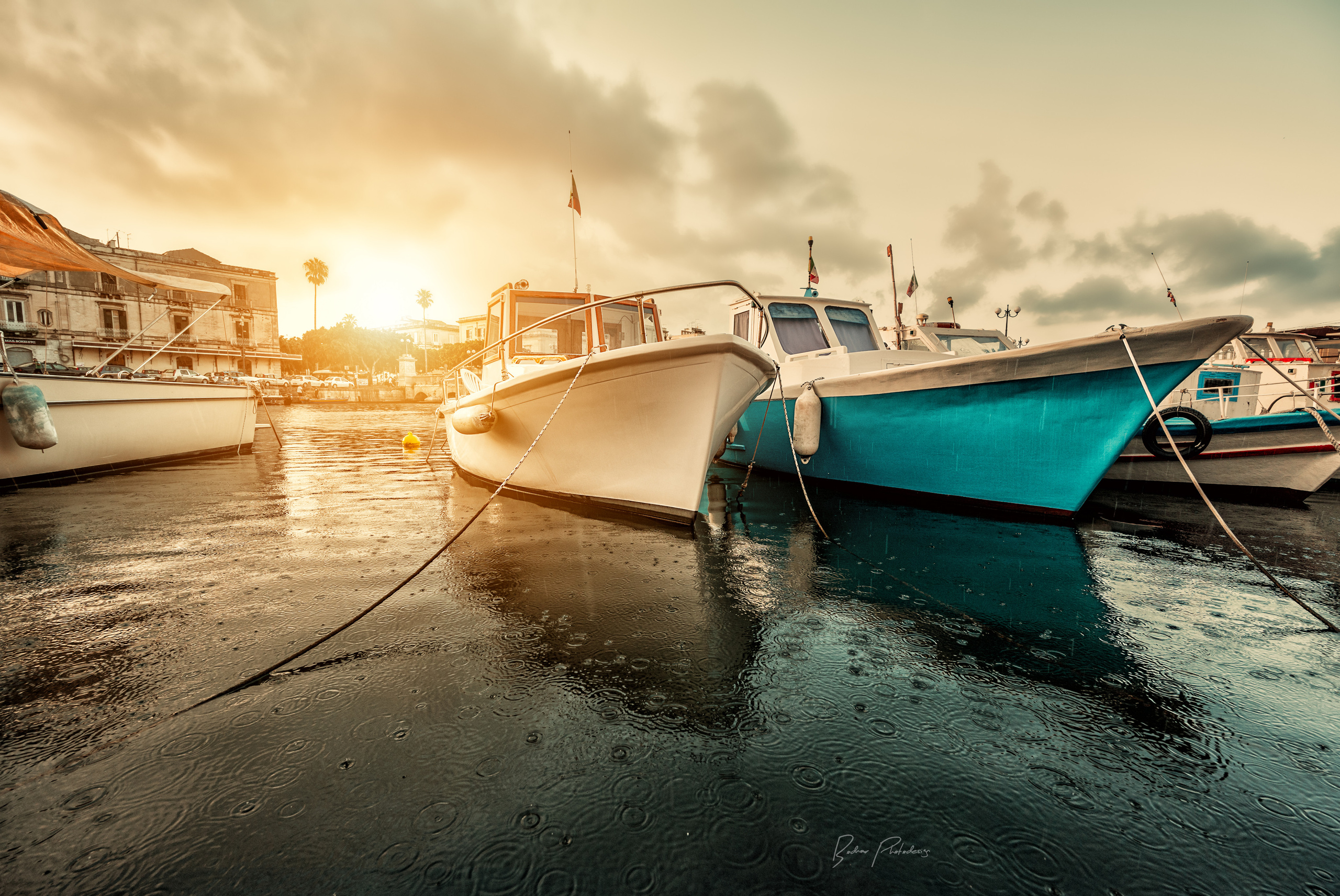Fotograf in Berlin Brandenburg (Familien, Kinder, Paare, Hochzeiten)