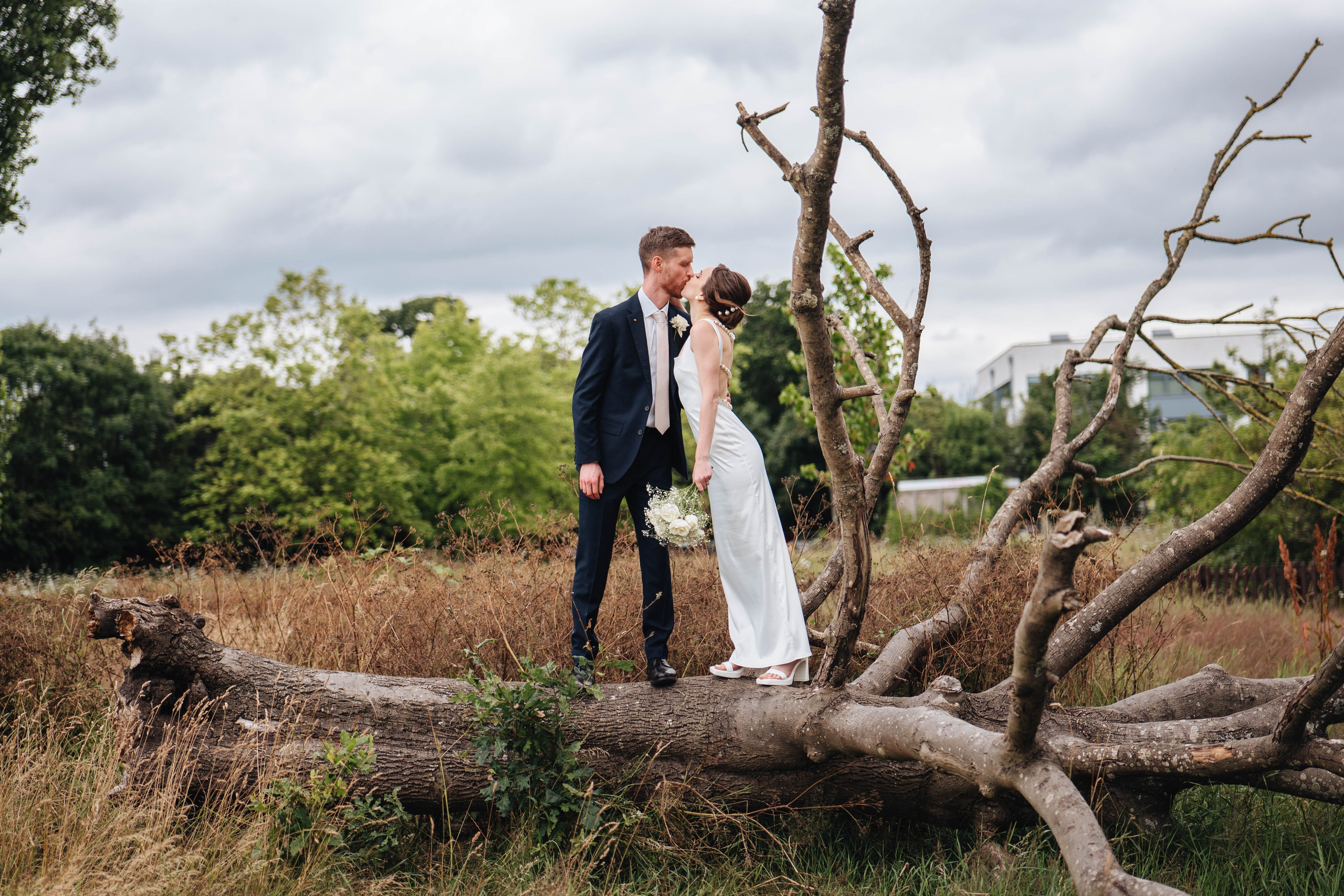 bride and groom posing on the an old dead tree, wider view