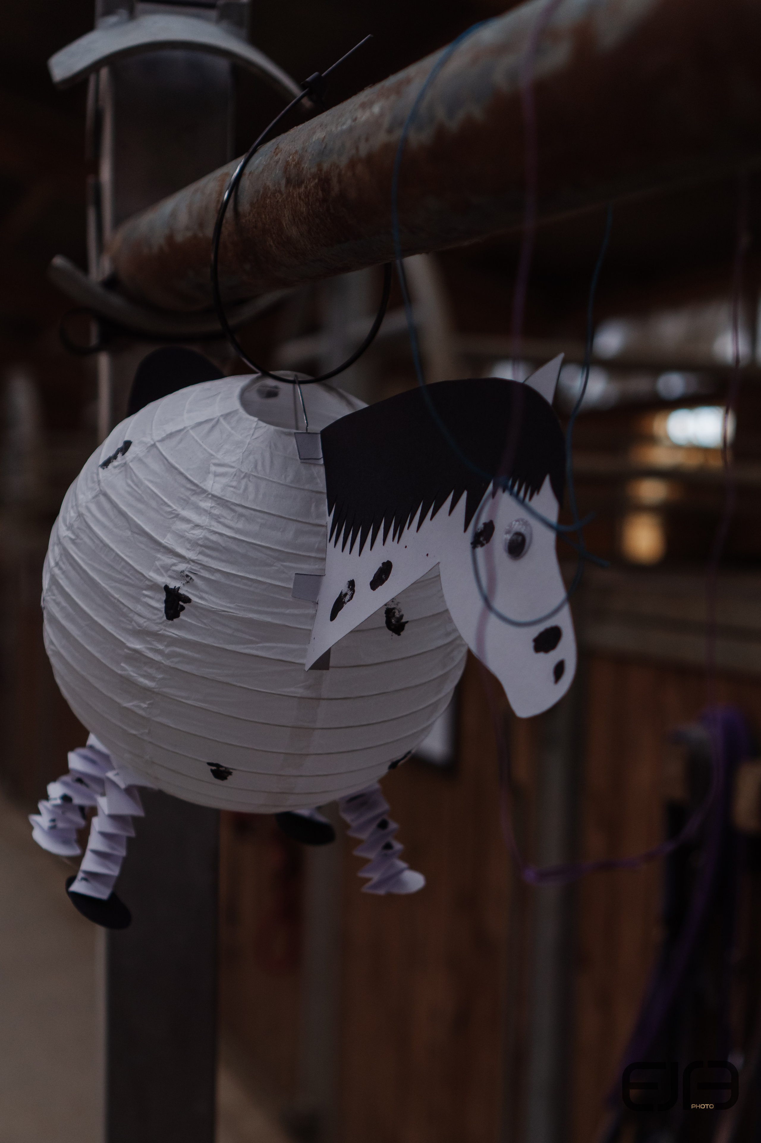 Hobby Horsing am Kaiserstuhl. Kreatives Design & Fotografie – Dein Partner für starke visuelle Auftritte