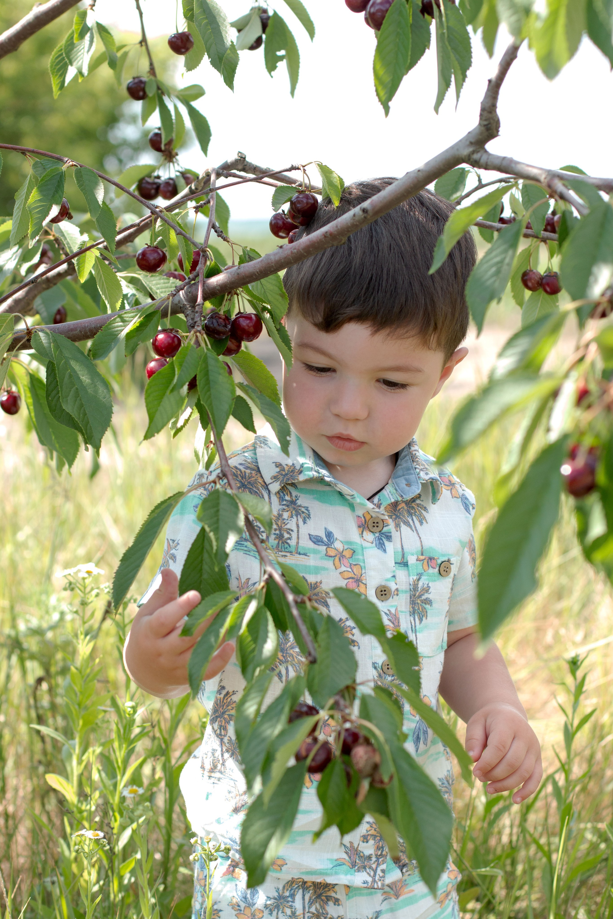 Черешня. Детский и семейный фотограф в г. Бельцы