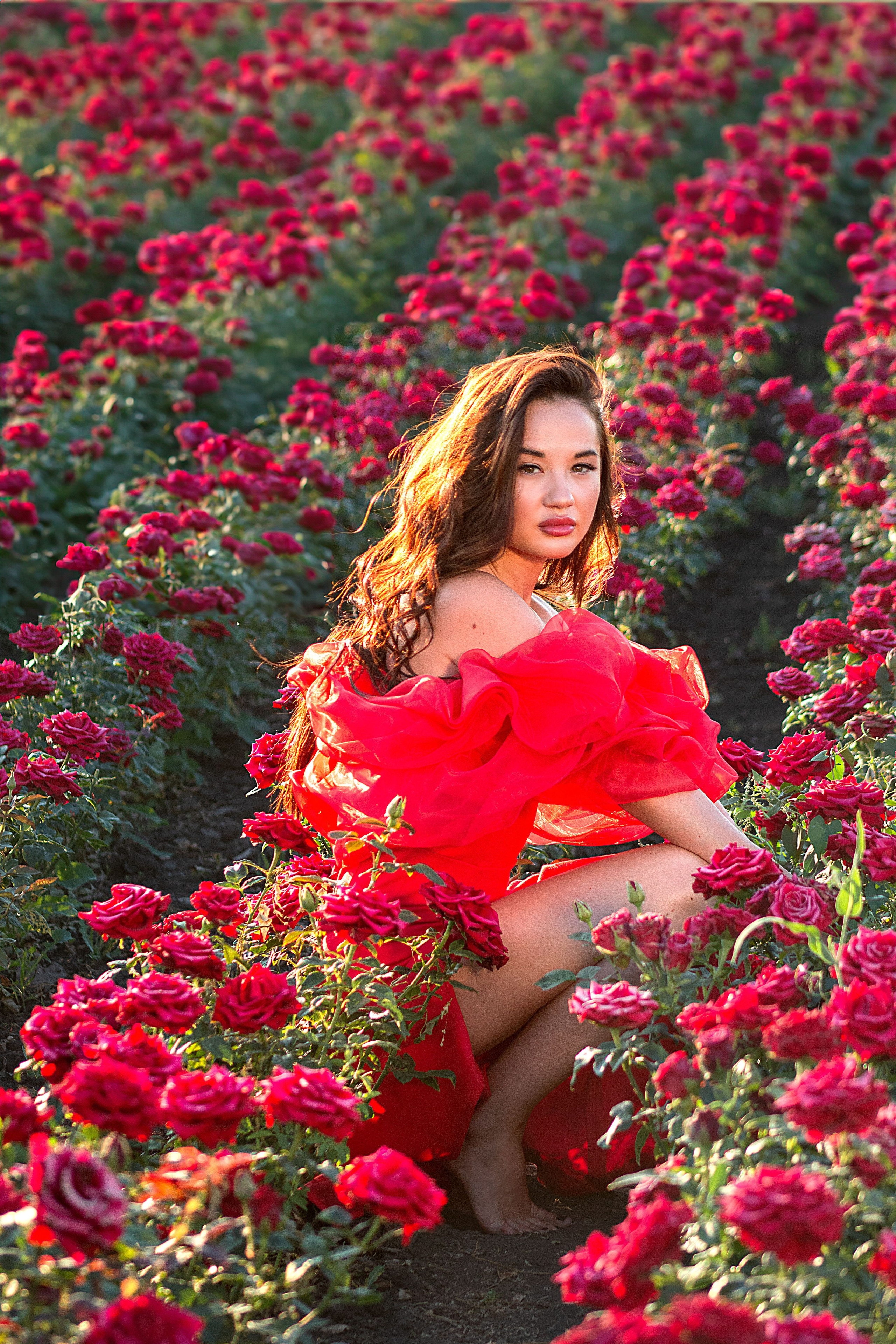 Розы. Детский и семейный фотограф в г. Бельцы