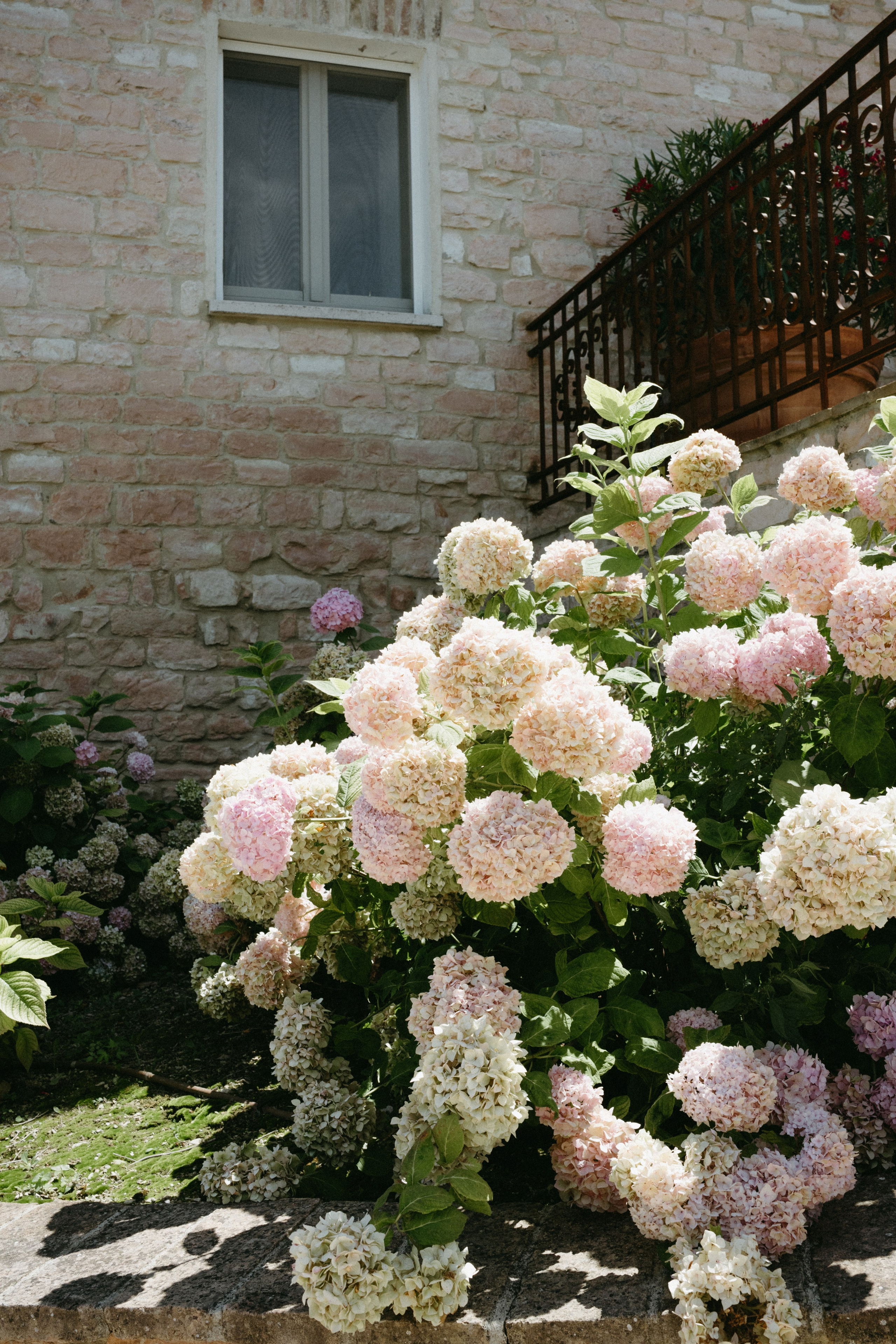 Sofia&Falk. Wedding photographer Italy