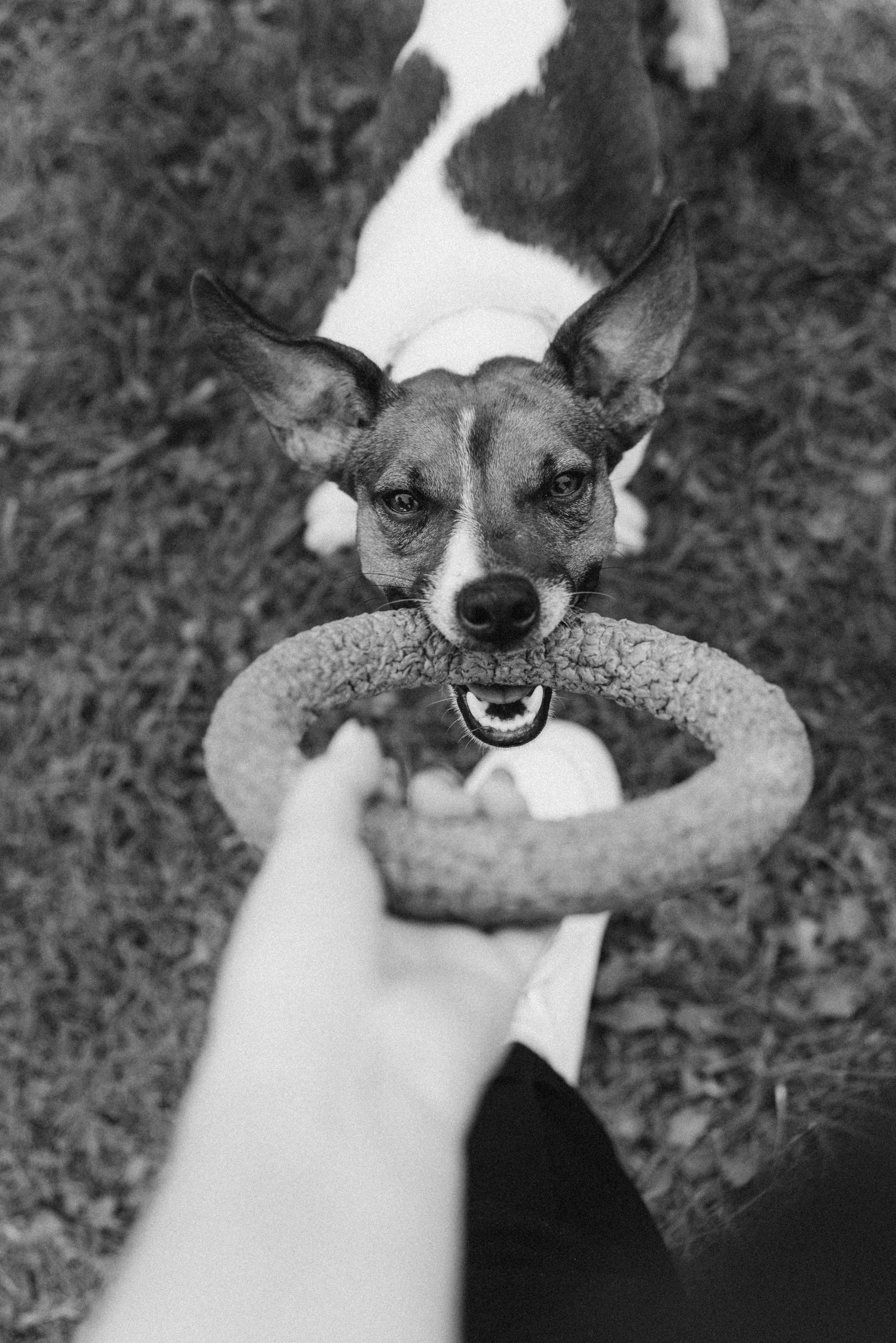 Andrey & Tanya wedding. Фотографы Минск и мир