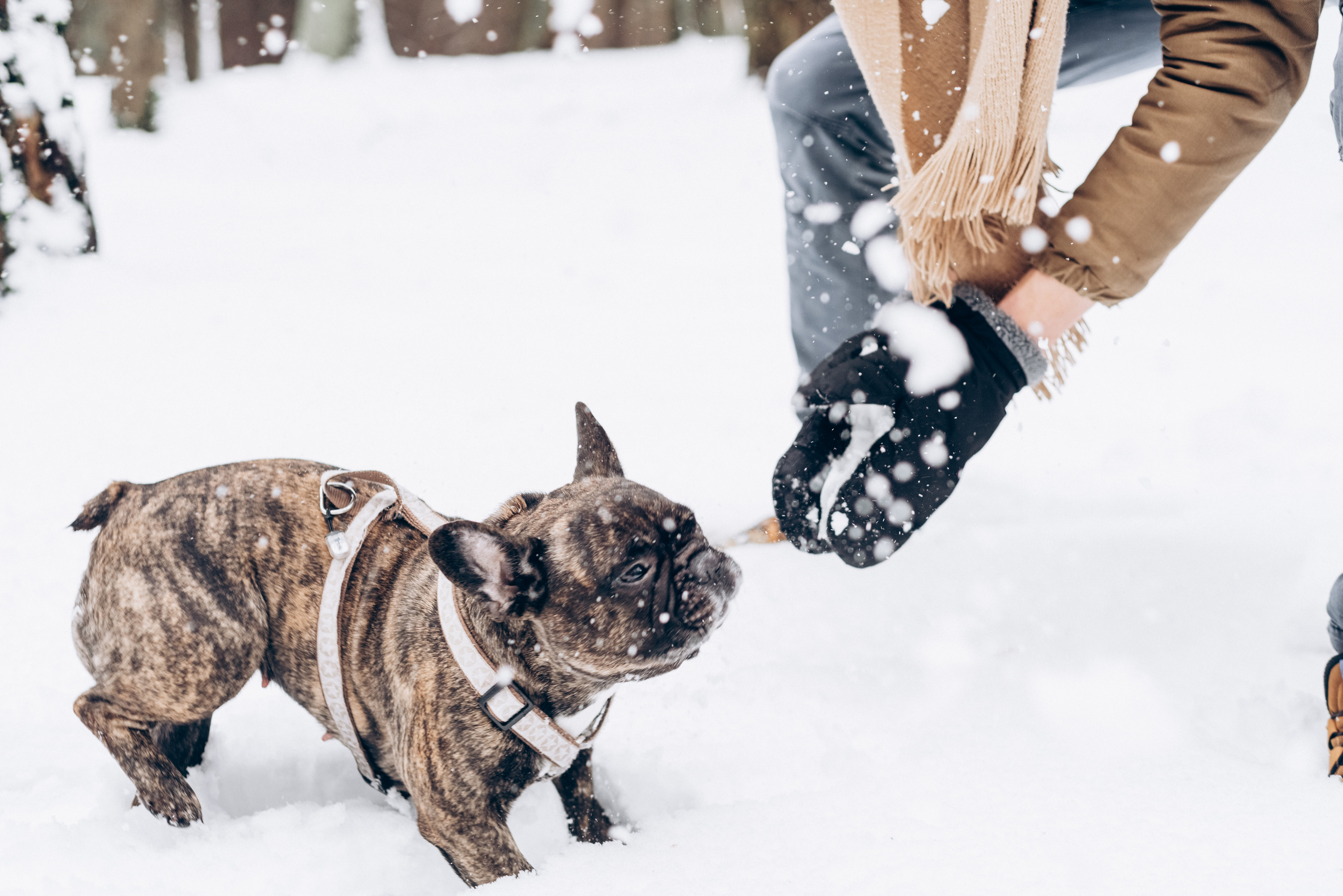 Sasha & Vika love story. Фотографы Минск и мир