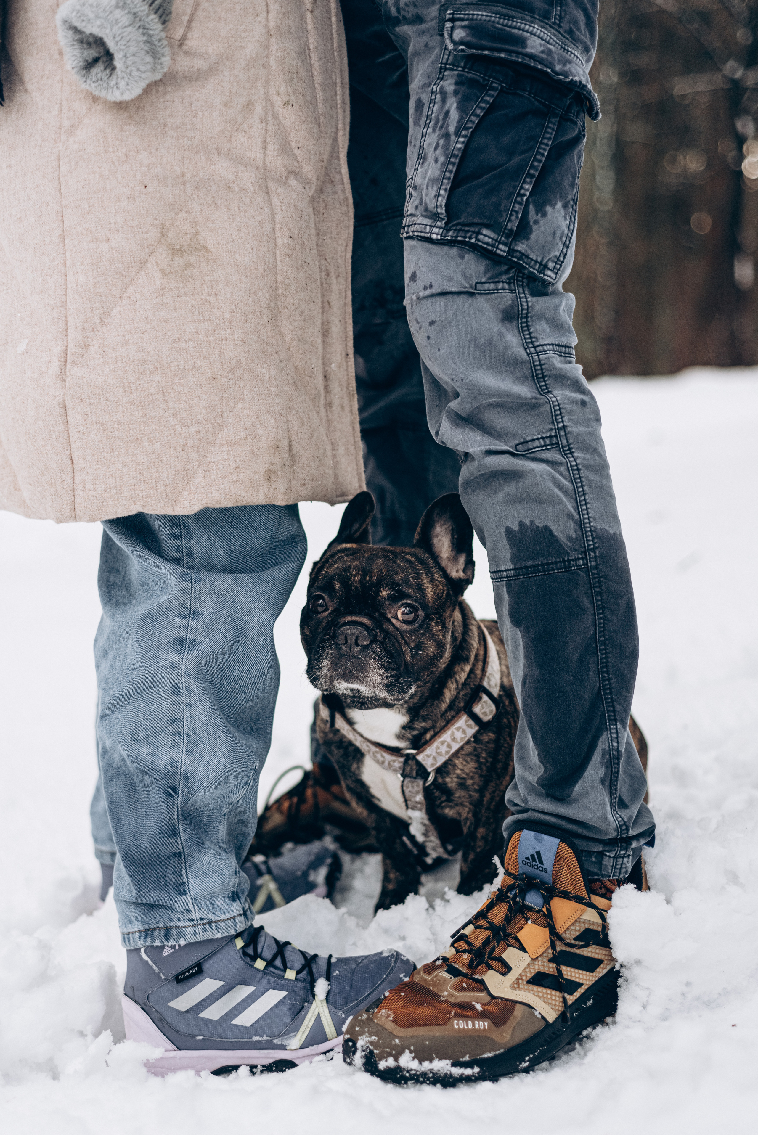 Sasha & Vika love story. Фотографы Минск и мир