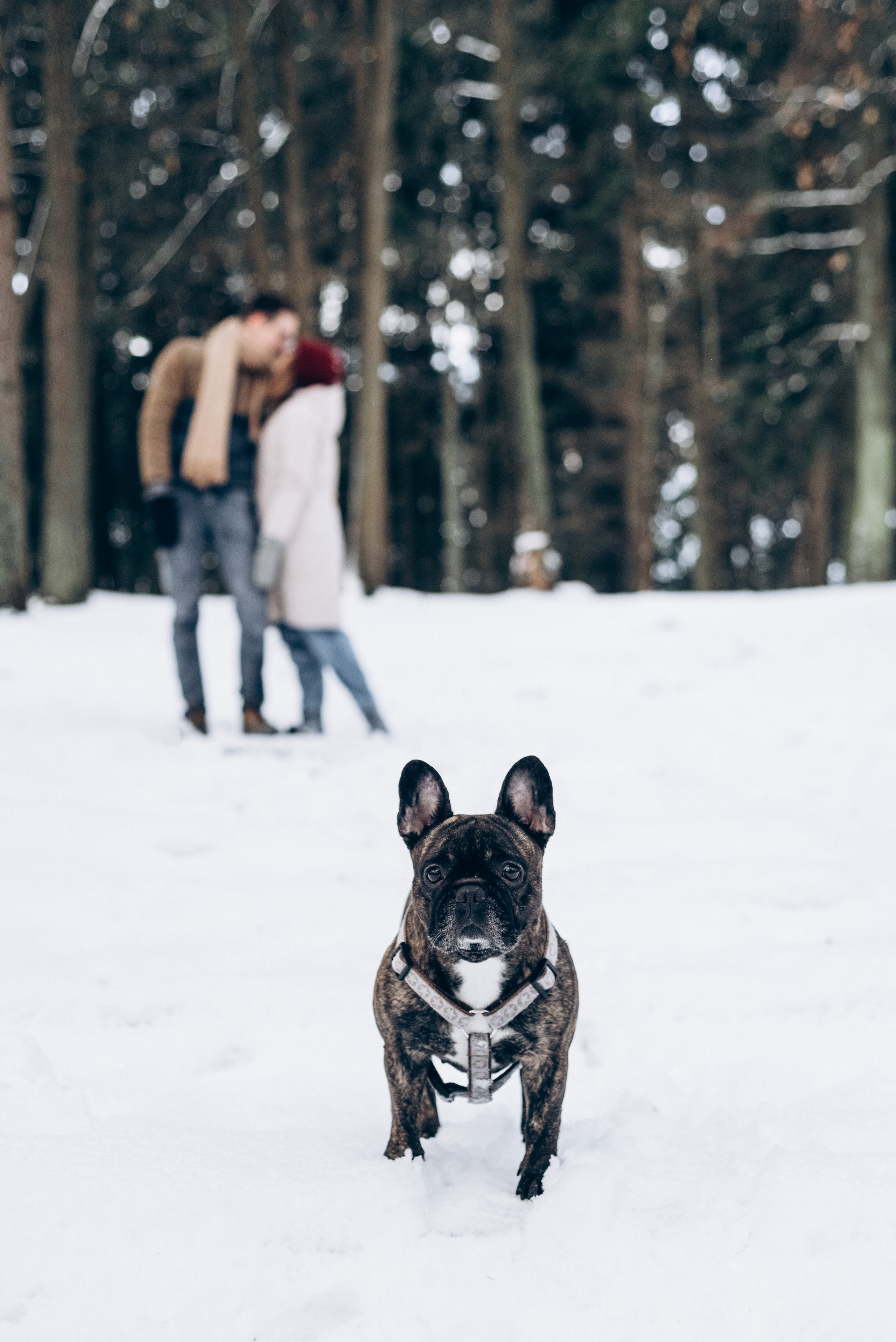 Sasha & Vika love story. Фотографы Минск и мир