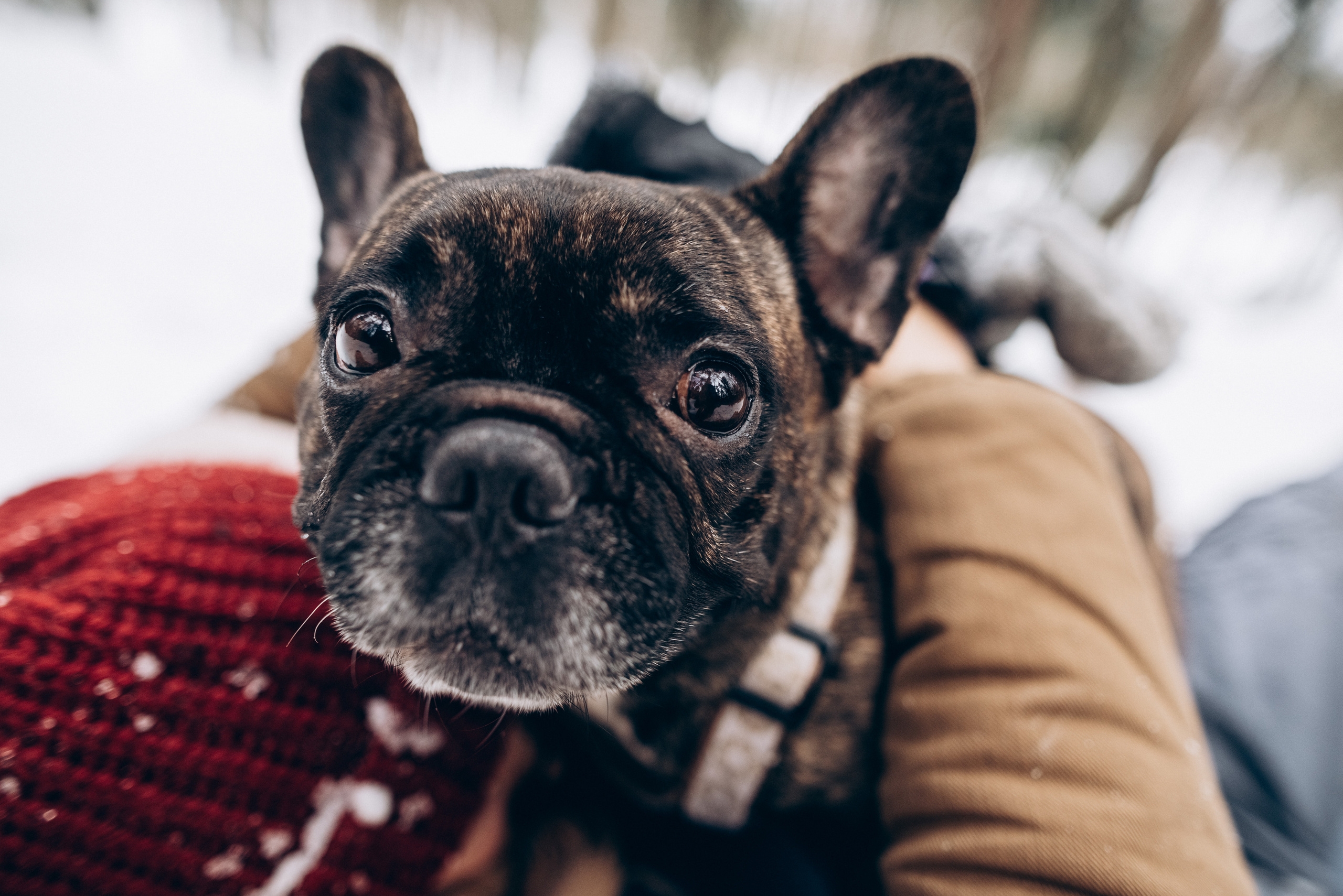 Sasha & Vika love story. Фотографы Минск и мир