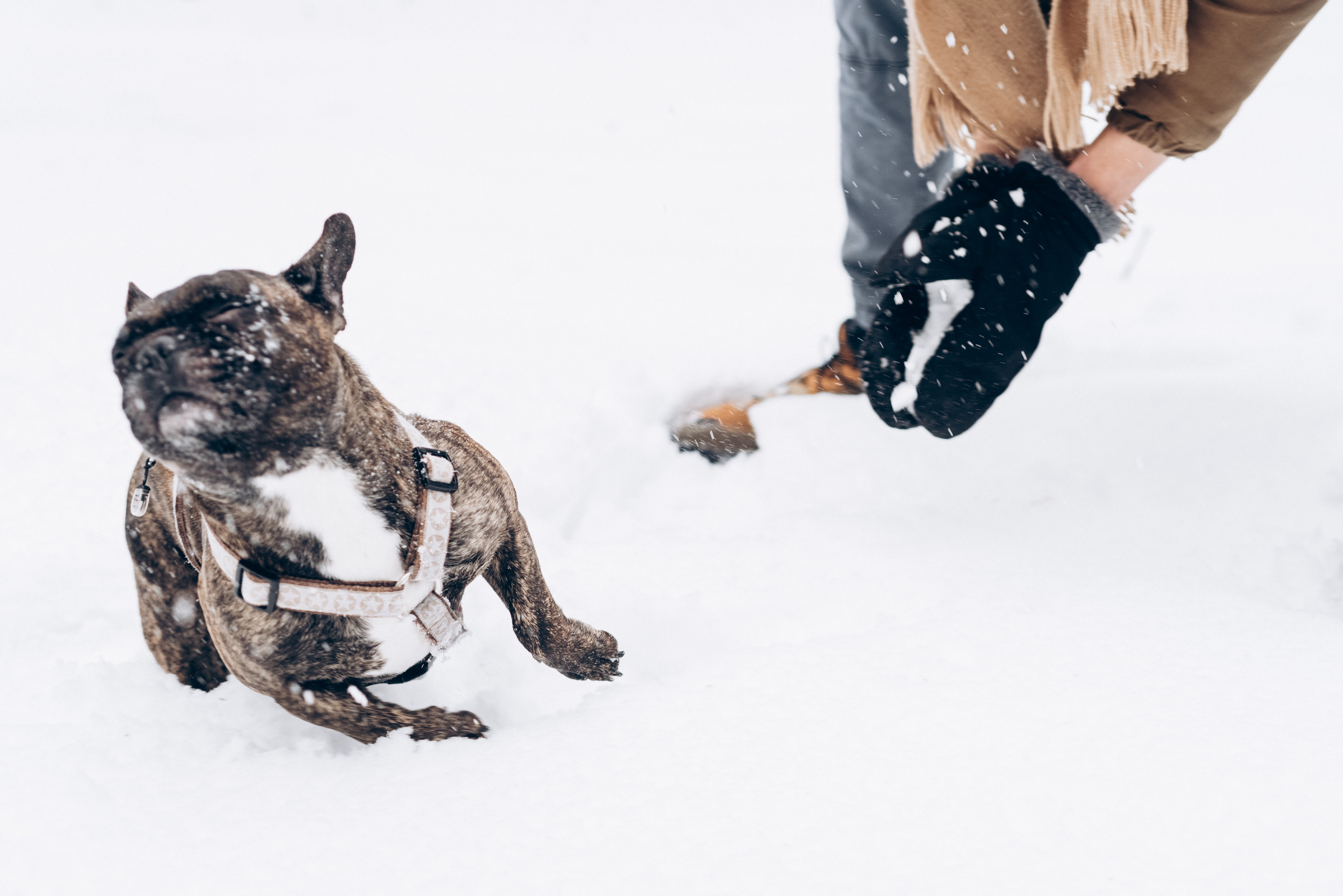 Sasha & Vika love story. Фотографы Минск и мир