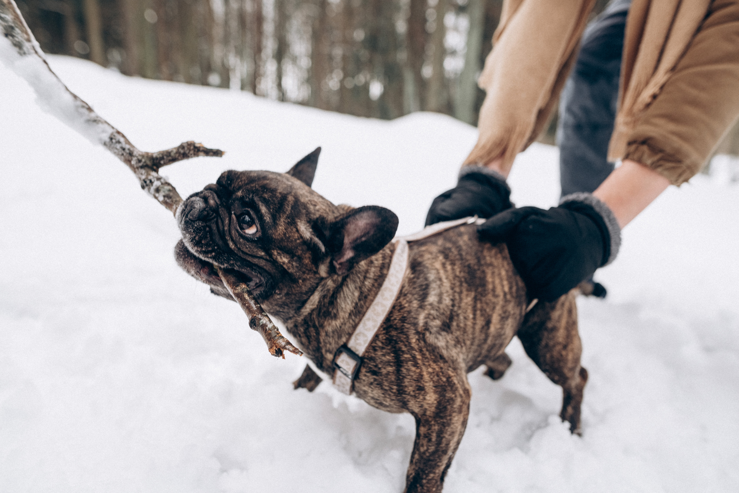 Sasha & Vika love story. Фотографы Минск и мир