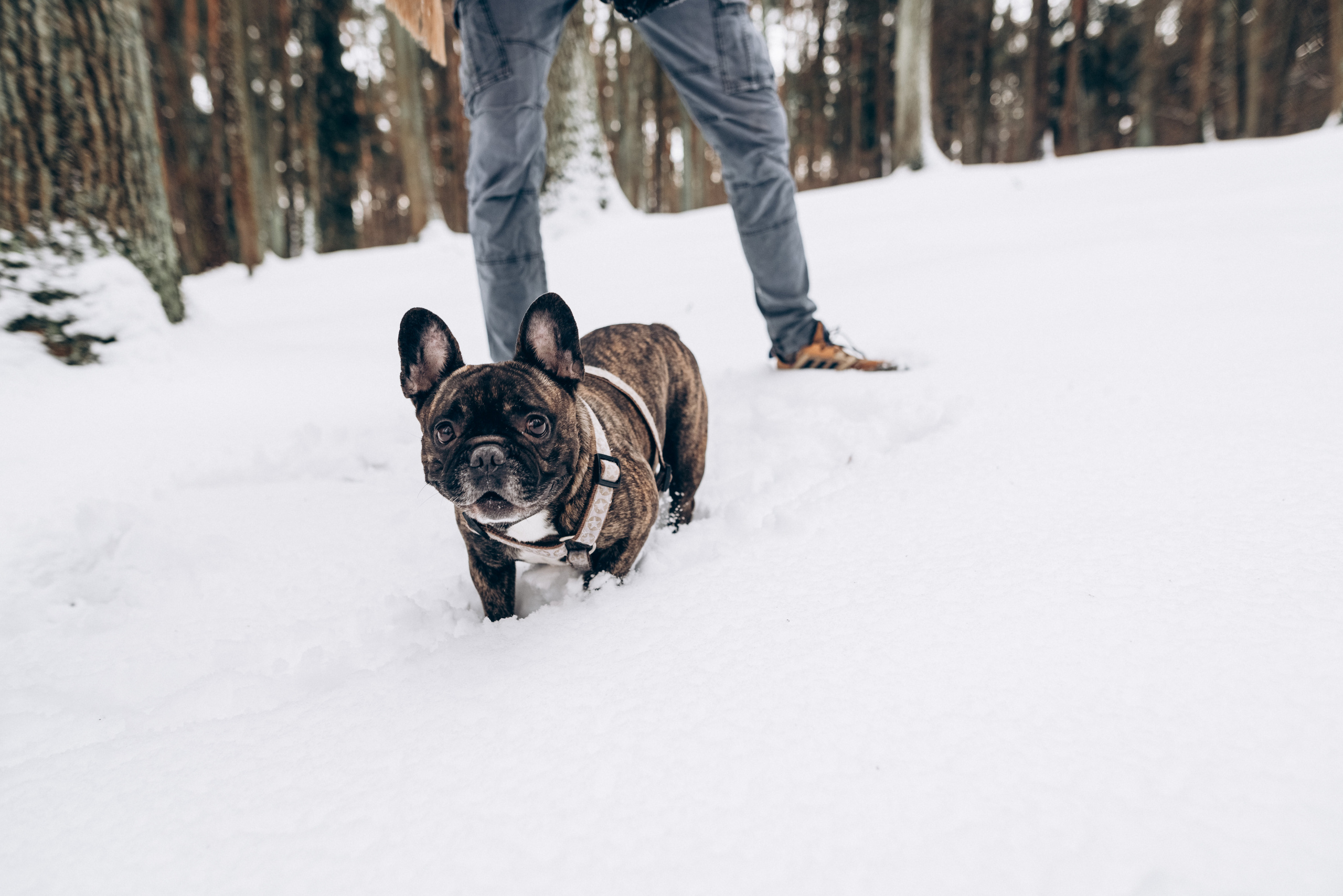 Sasha & Vika love story. Фотографы Минск и мир