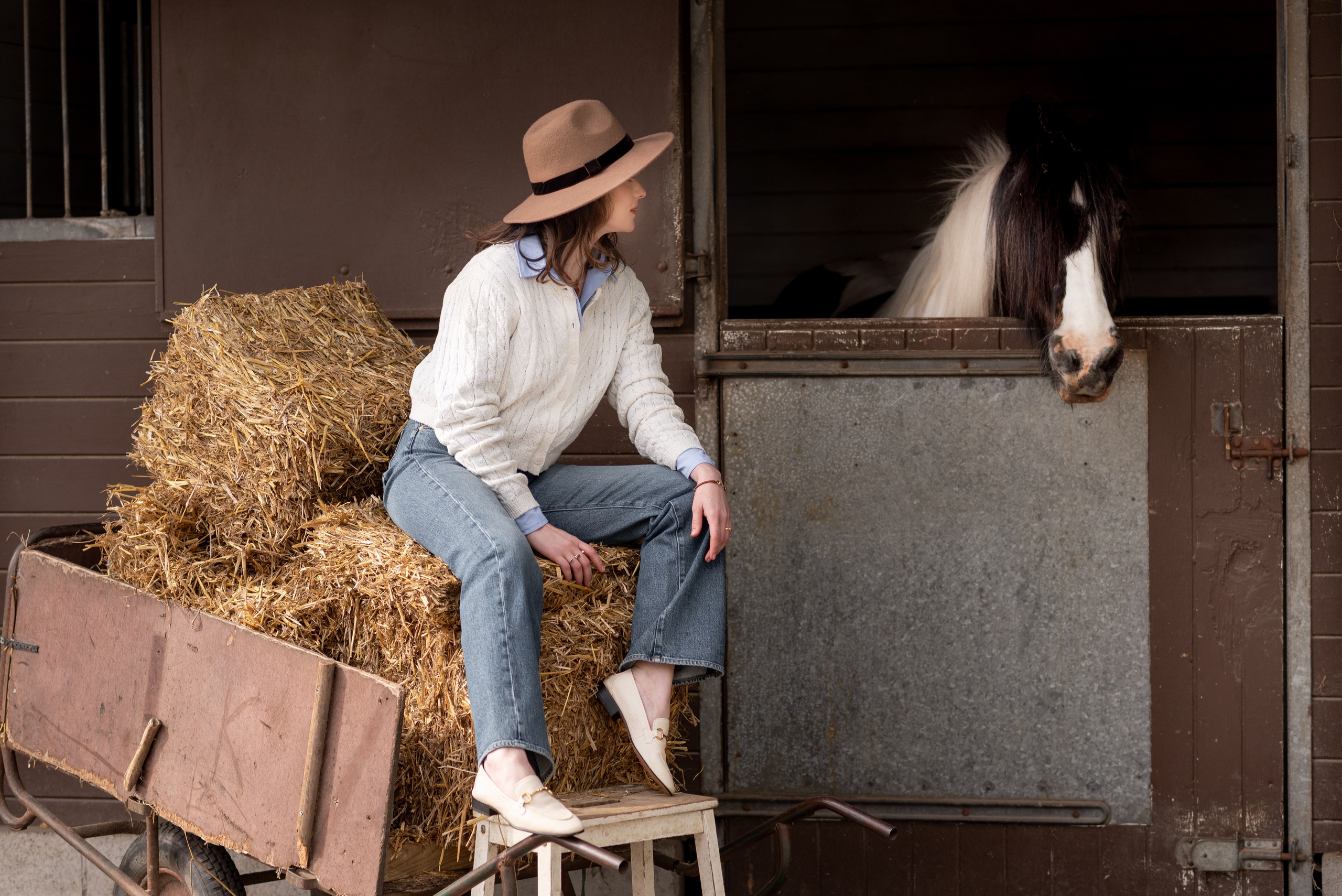Photoshoot with Horses. Professional Photograher, Antwerpen/Belgium