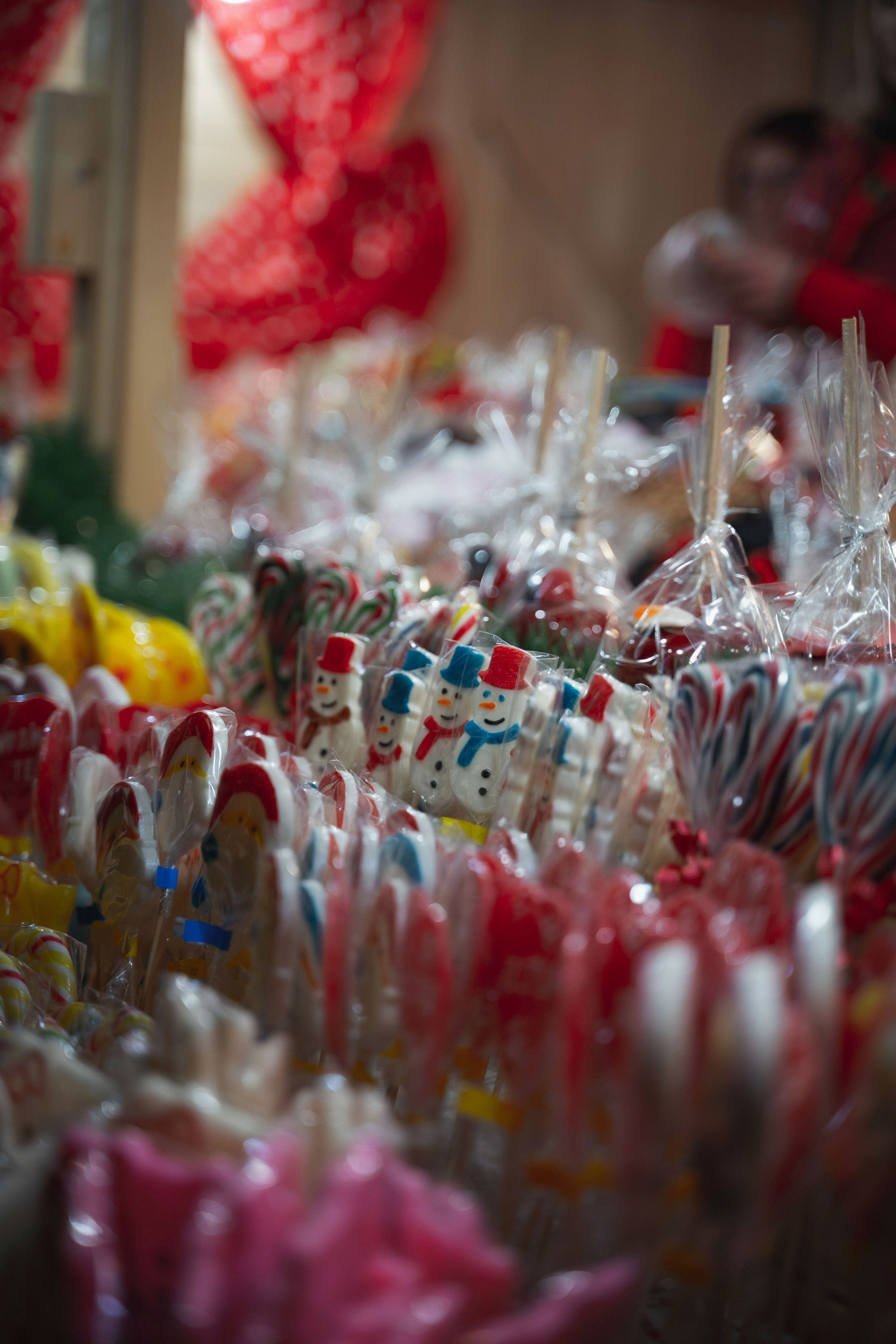 Novosadski Zimzolend. Жуков Студио