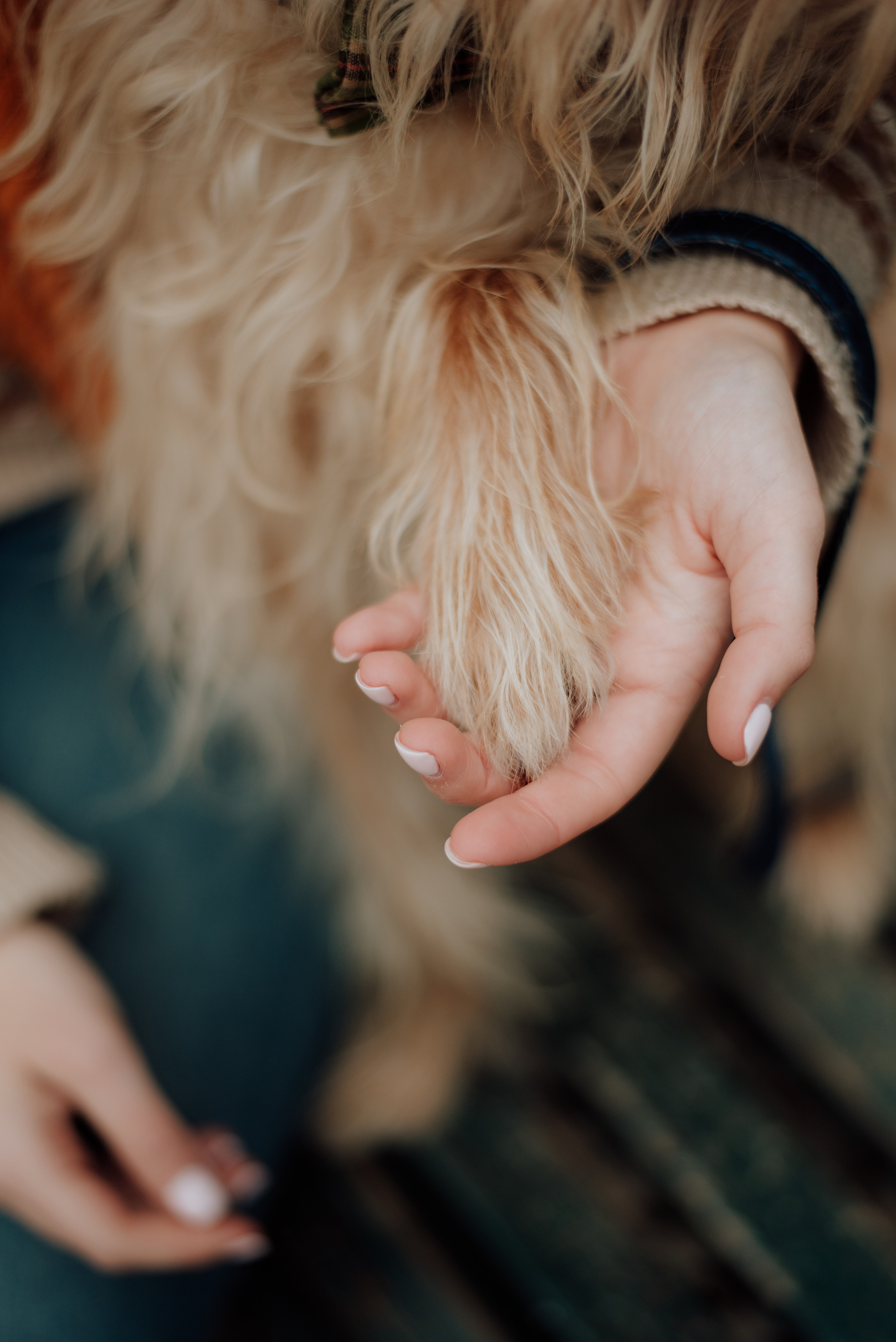 Margarida and Dixii. Lifestyle, wedding and family photographer