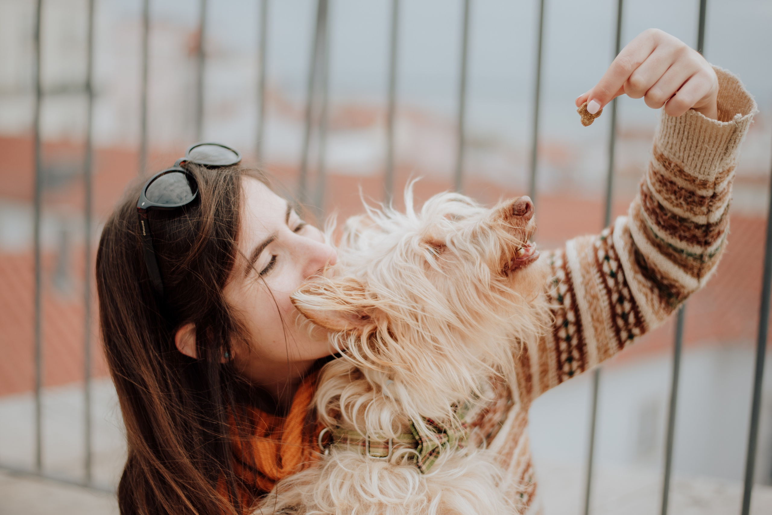 Margarida and Dixii. Lifestyle, wedding and family photographer