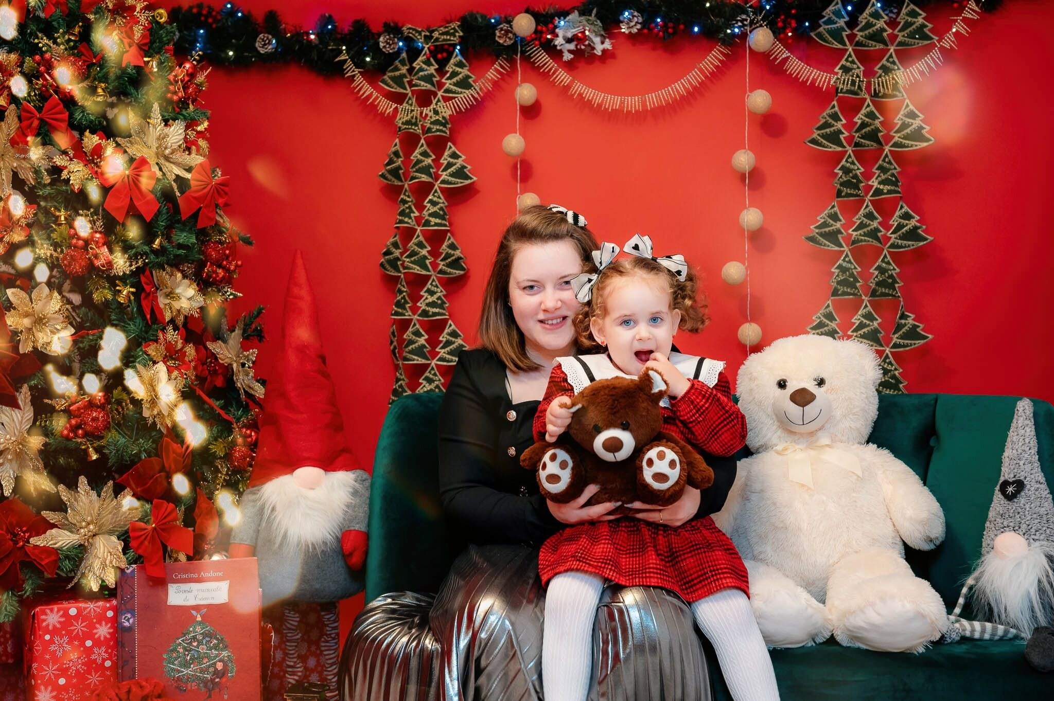 Sedinta Craciun Ioana