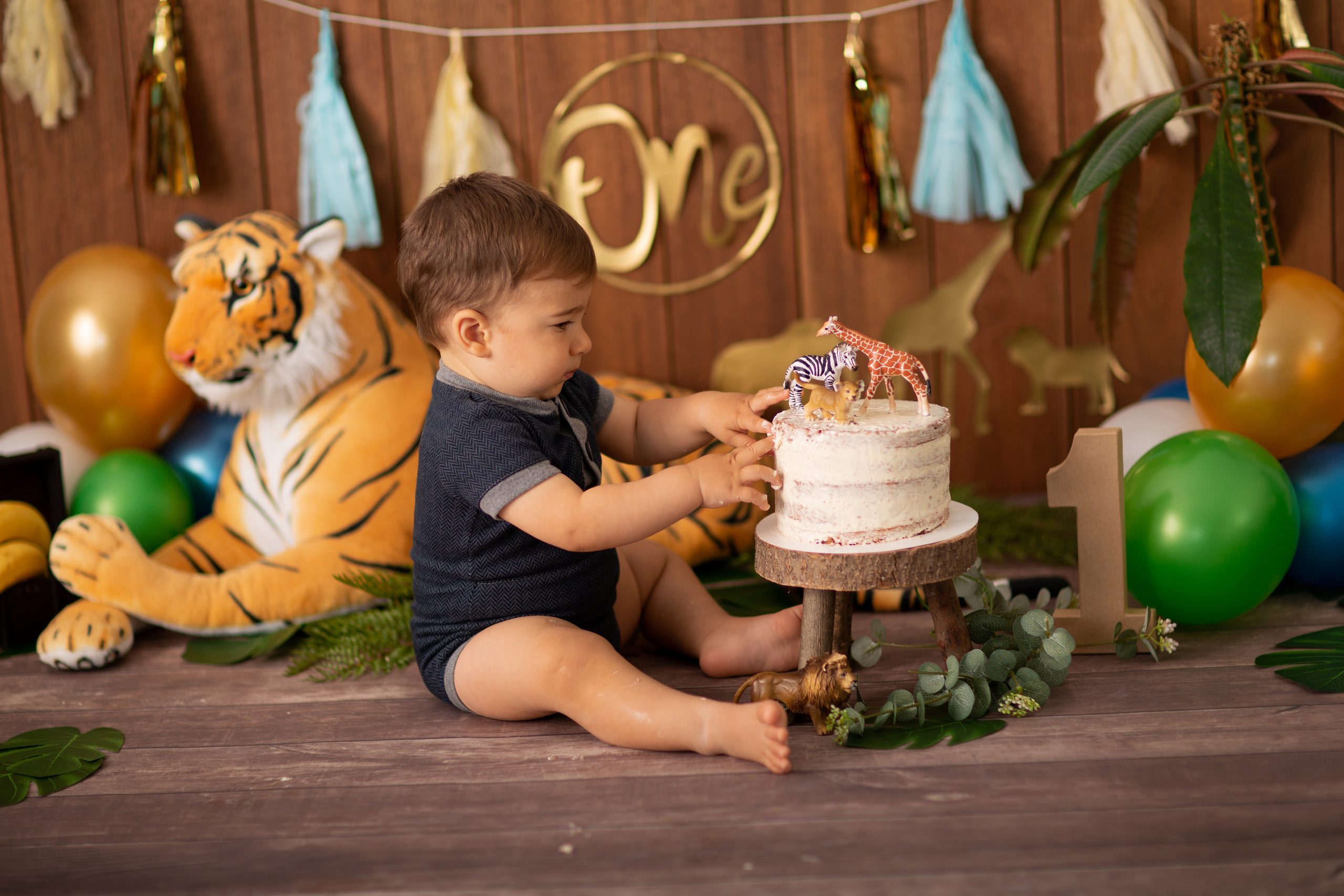 Cake Smash. Neugeborenen, Familien, Geschwister Fotografin aus Delmenhorst