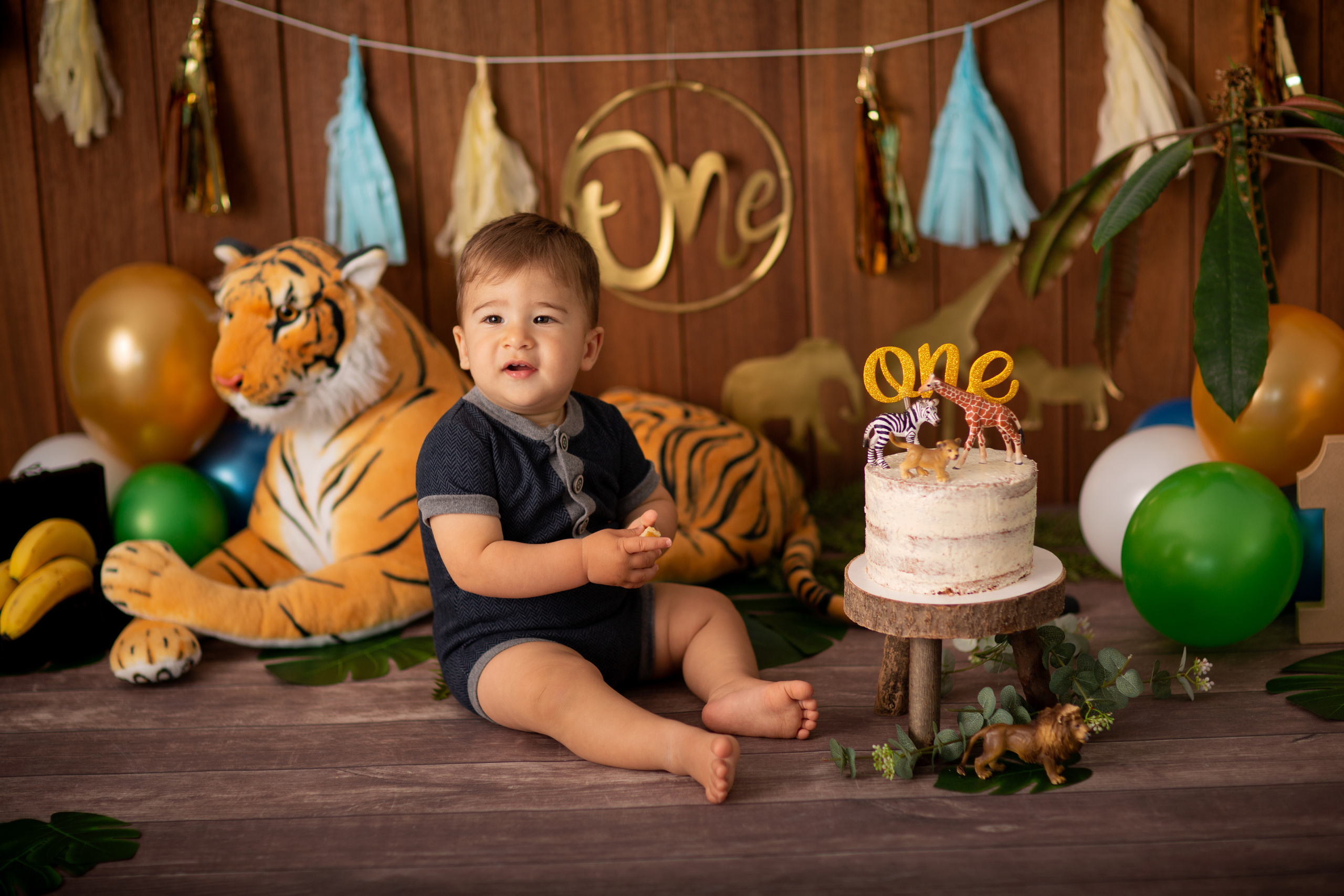 Cake Smash. Neugeborenen, Familien, Geschwister Fotografin aus Delmenhorst