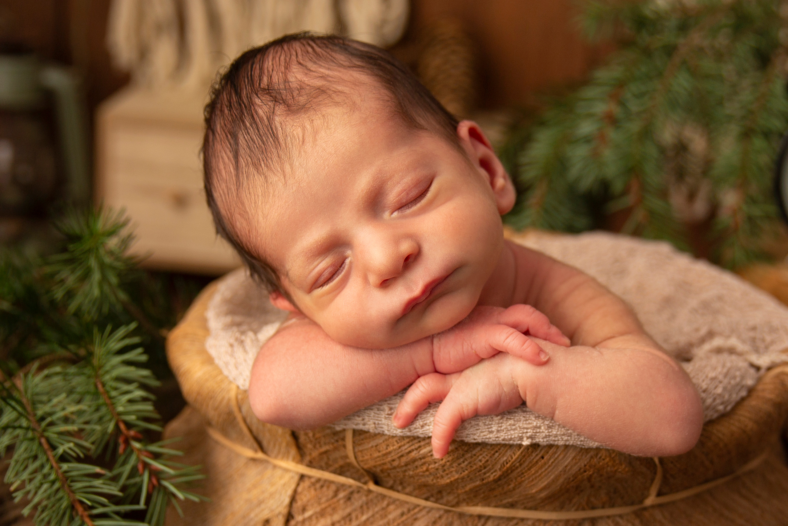 Neugeborene. Neugeborenen, Familien, Geschwister Fotografin aus Delmenhorst