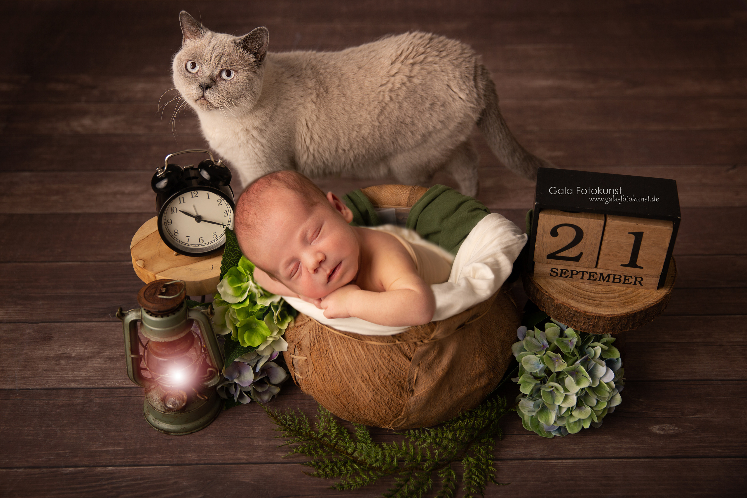 Neugeborene. Neugeborenen, Familien, Geschwister Fotografin aus Delmenhorst