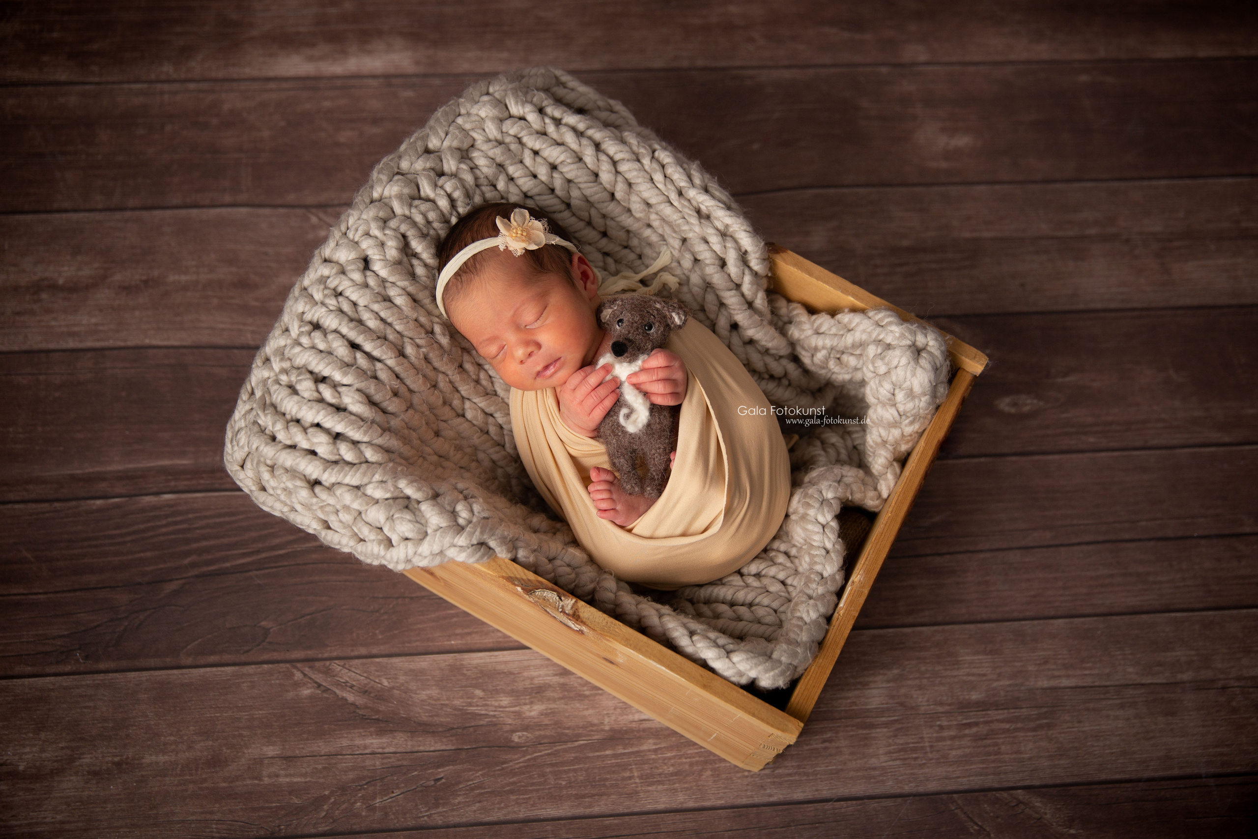 Neugeborene. Neugeborenen, Familien, Geschwister Fotografin aus Delmenhorst