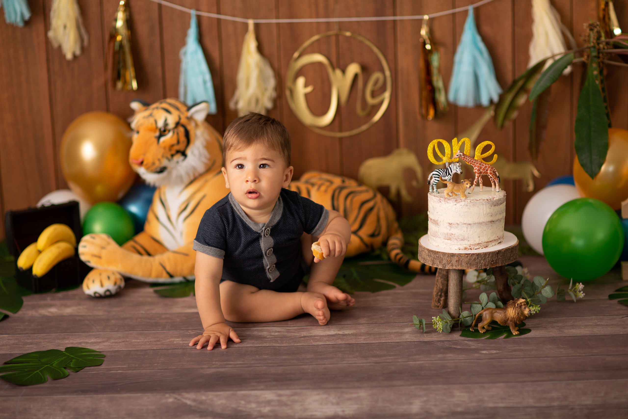 Cake Smash. Neugeborenen, Familien, Geschwister Fotografin aus Delmenhorst
