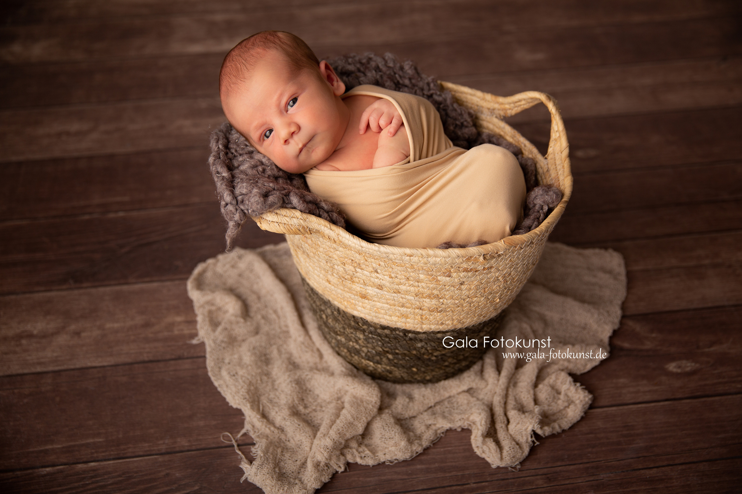 Neugeborene. Neugeborenen, Familien, Geschwister Fotografin aus Delmenhorst