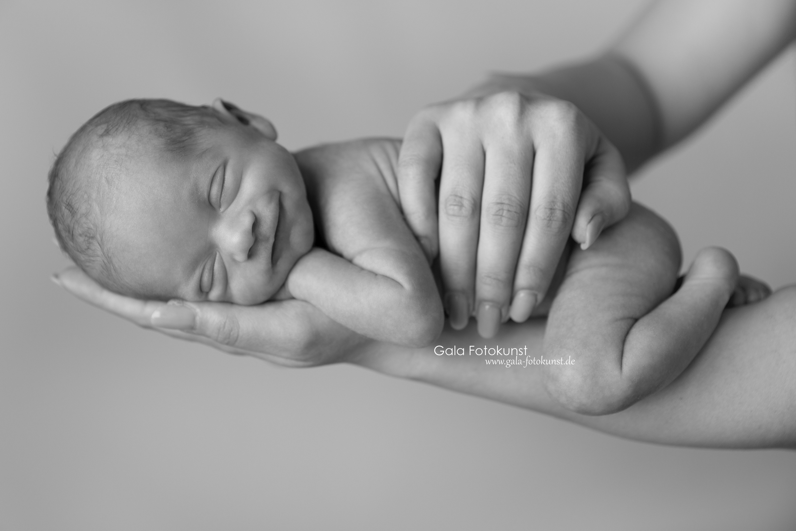 Neugeborene. Neugeborenen, Familien, Geschwister Fotografin aus Delmenhorst