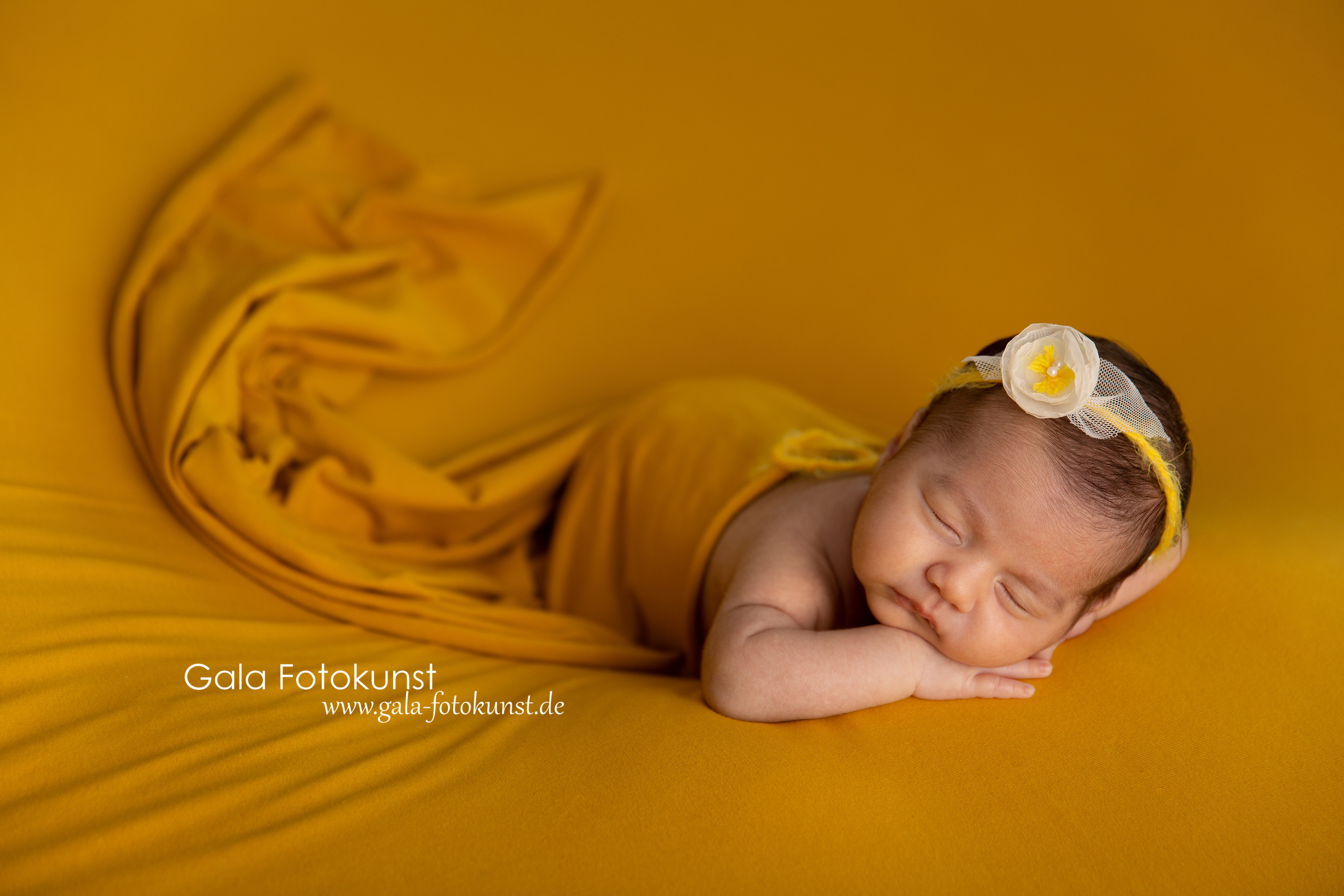 Neugeborene. Neugeborenen, Familien, Geschwister Fotografin aus Delmenhorst