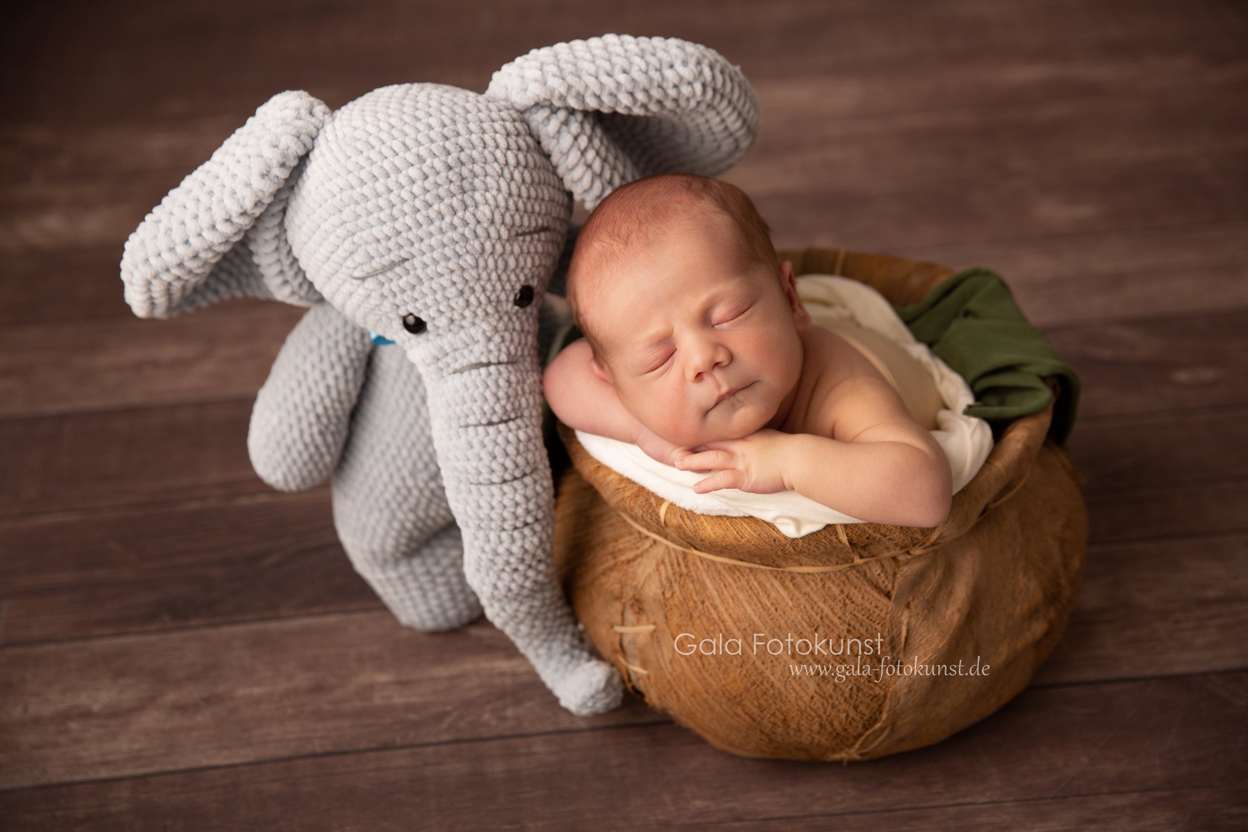 Neugeborene. Neugeborenen, Familien, Geschwister Fotografin aus Delmenhorst