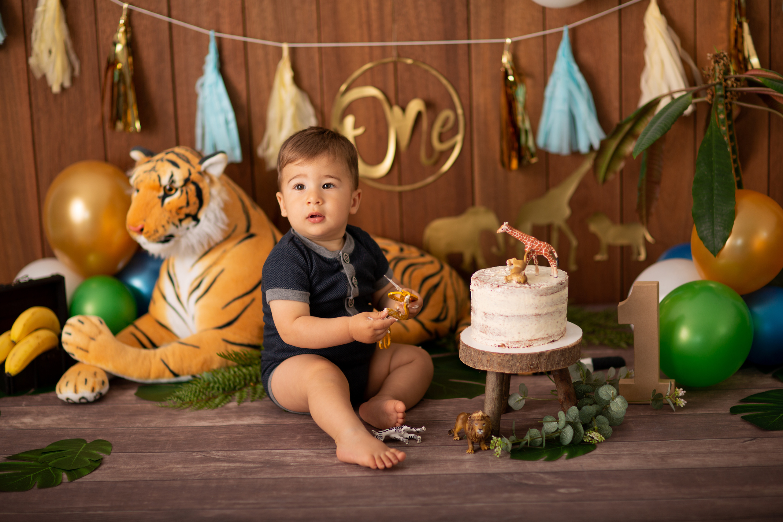 Cake Smash. Neugeborenen, Familien, Geschwister Fotografin aus Delmenhorst